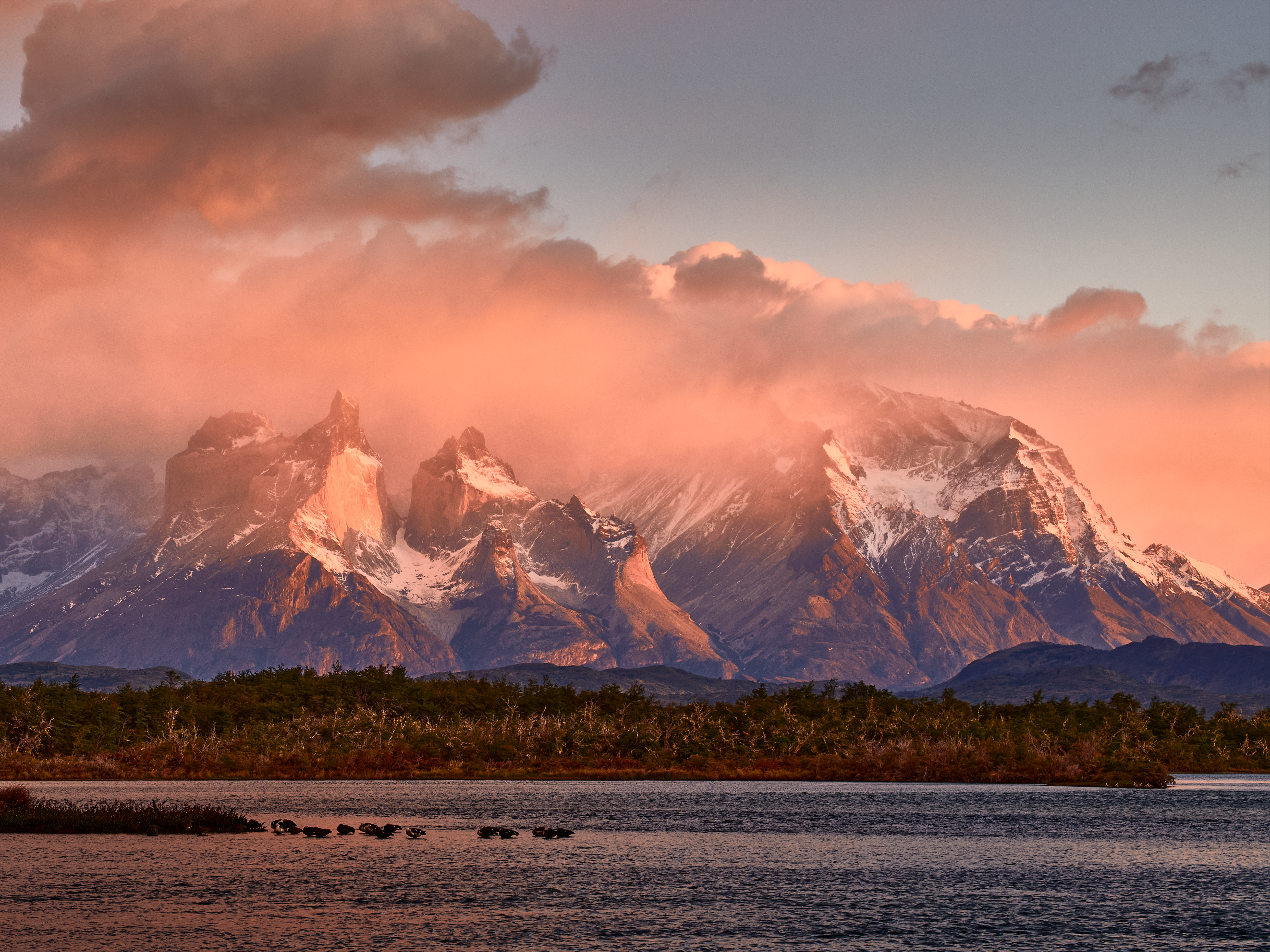 View Cuernos del Paine from lake Pehoé