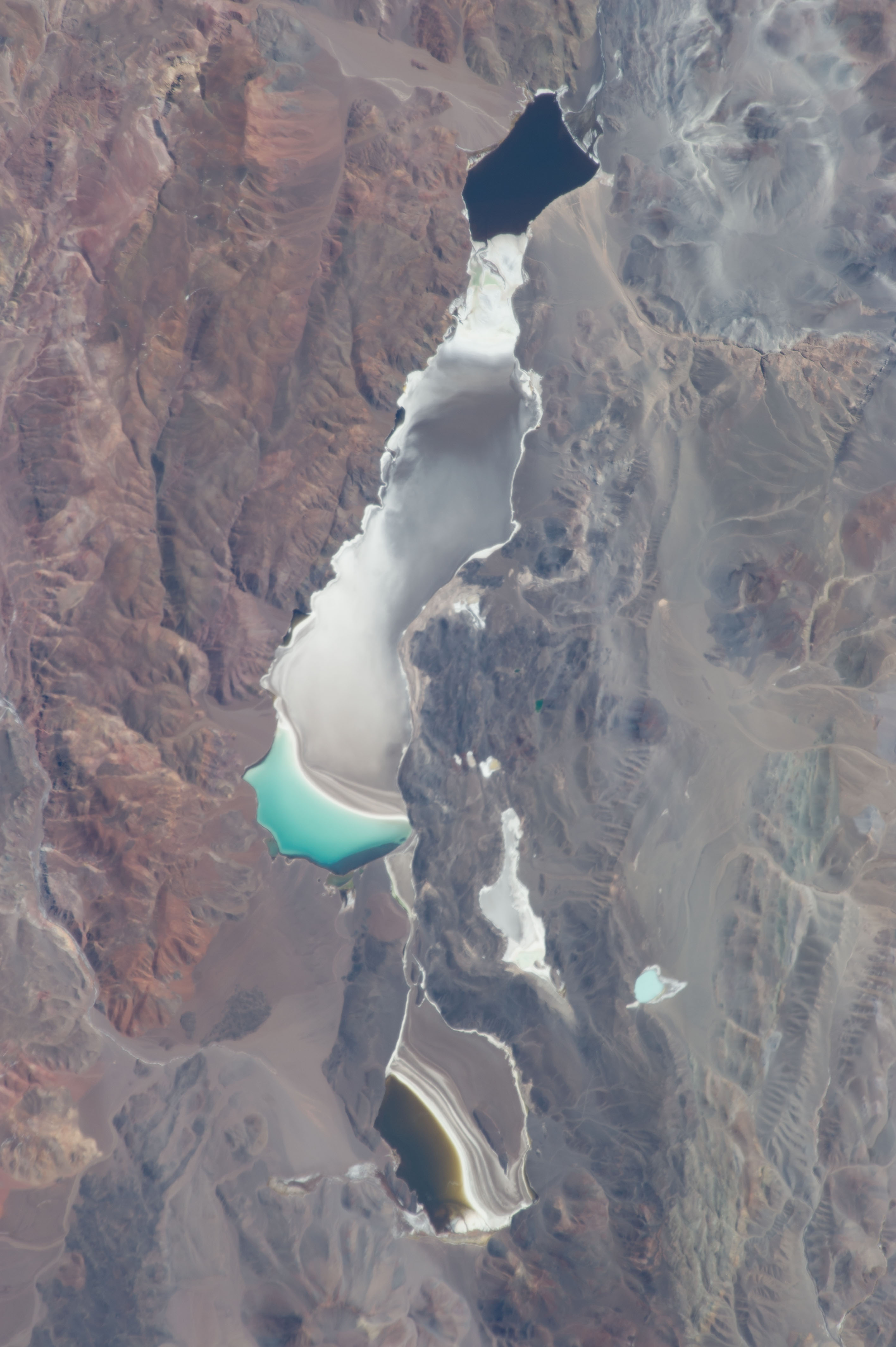 This striking and detailed astronaut photograph from the International Space Station shows water of different color within subbasins of the Laguna (lake) Verde in the high Andes of northwest Argentina. The lake floor as a local low point lies at 4095 m (13,438 feet) above sea level, whereas the peak of the local volcano west of the lake (not shown) reaches over 3000 meters higher (6818 m, 22,368 feet). Laguna Verde (58 km wide, 36 km long) often appears green, giving rise to its formal name.
This image shows the turquoise tint in the central subbasin (image center), with a yellow to black tinge to water in the southern subbasin at image left (also known locally as Laguna Negro). The northernmost basin at image right appears quite black, and the large gray zone comprising much of the rest of Laguna Verde is likely a combination of shallow water, only inches deep, and sunglint reflecting off the water surface. The reason for the color differences lays in the fact the many different families of salt-loving organisms occupy hypersaline lakes such as Laguna Verde. These appear as different colors - often bright -- depending on the salinities and temperatures of each water body or subbasin.

The rest of the lake floor is dry and appears white from the build-up of thick salt deposits. Parallel lines around the southern subbasin (Laguna Negro) indicate prior shorelines of this shrinking water body - evaporation removes water but leaves ephemeral shorelines marked with white salt.