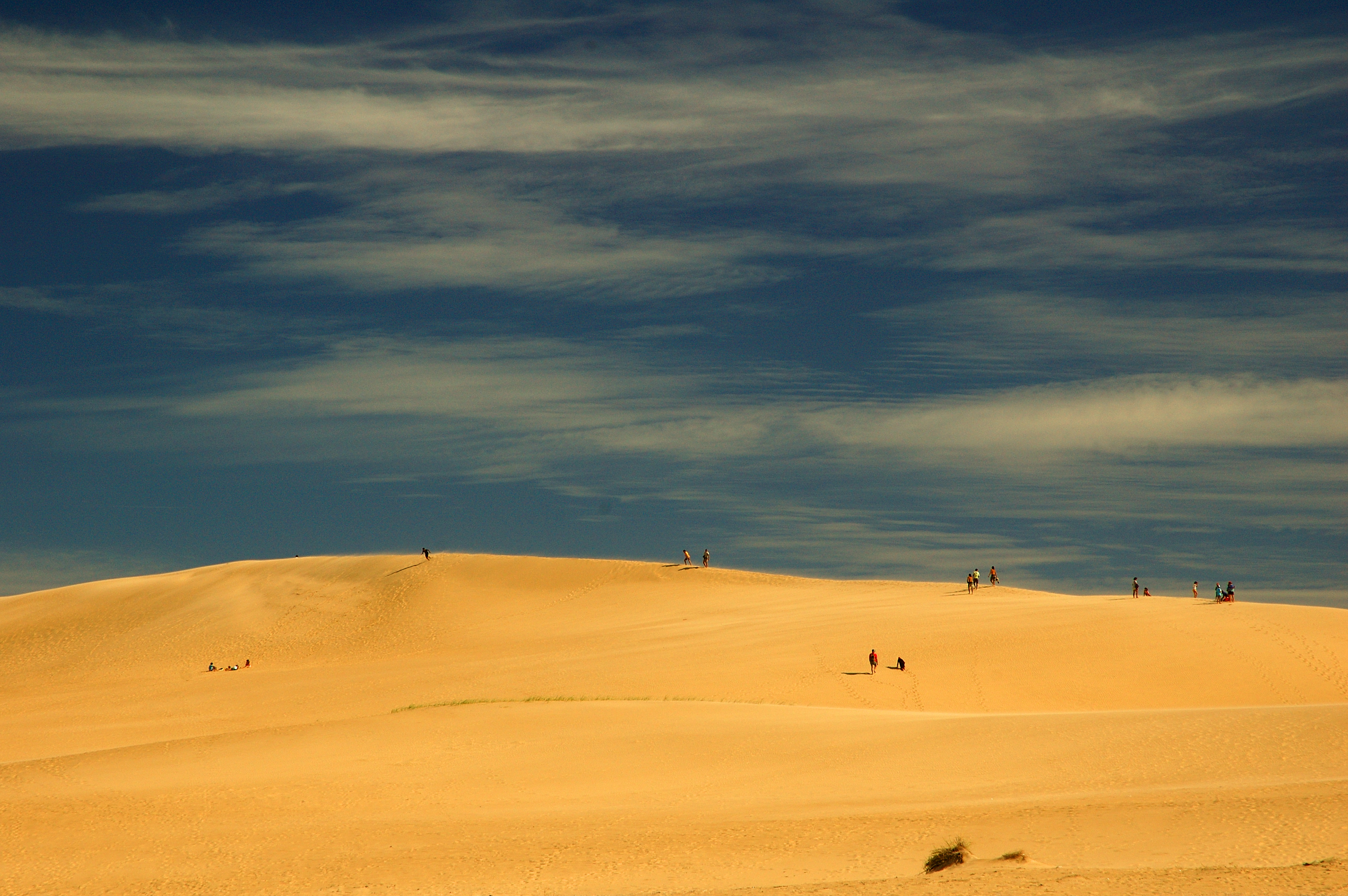 Dunas de arena situadas entre los balnearios Valizas y Cabo Polonio, Uruguay (enero de 2006).

Author: Fernando da Rosa