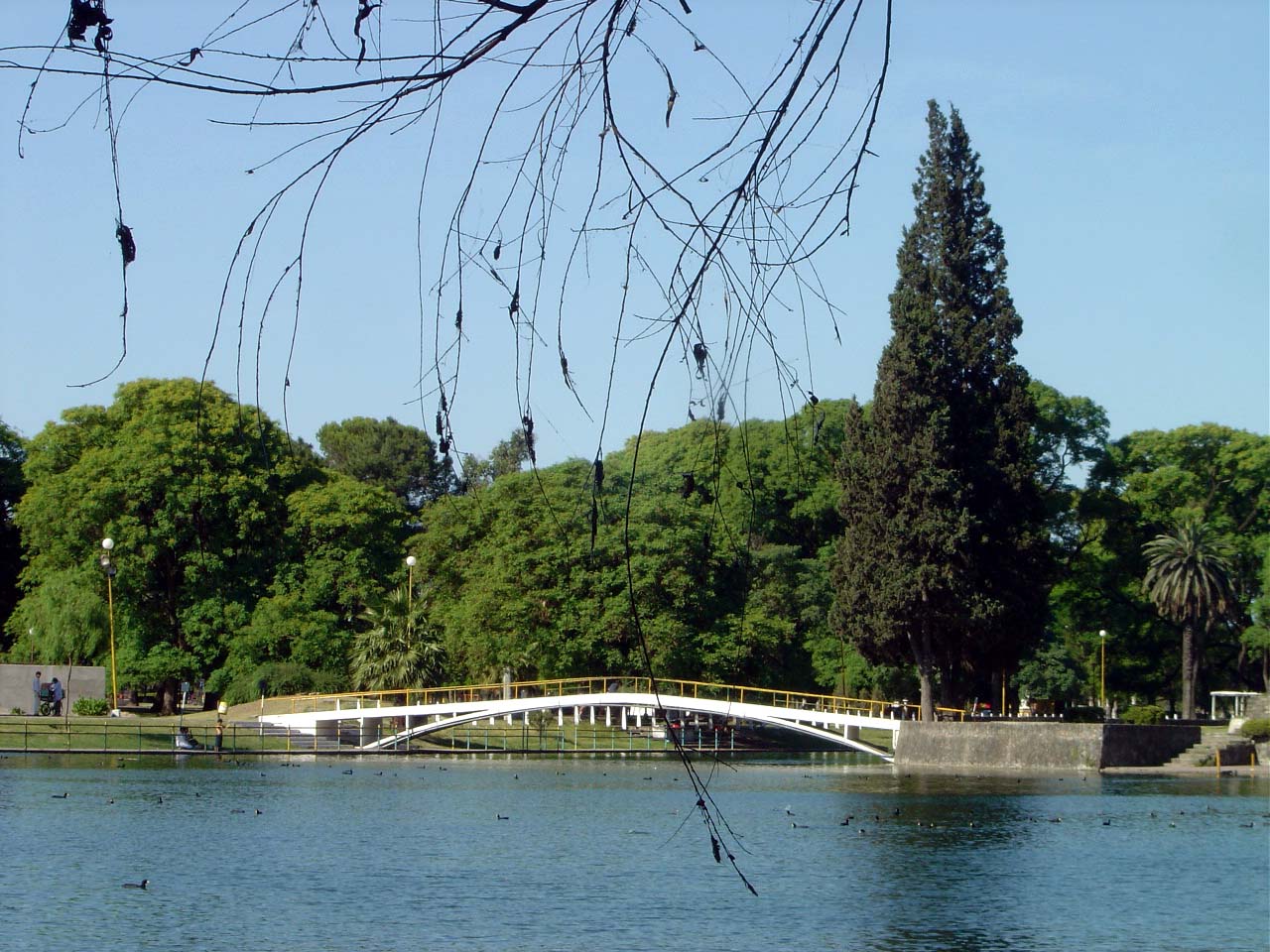 Image: San Miguel Lake at the 9 de Julio Park 

Author: jlazarte