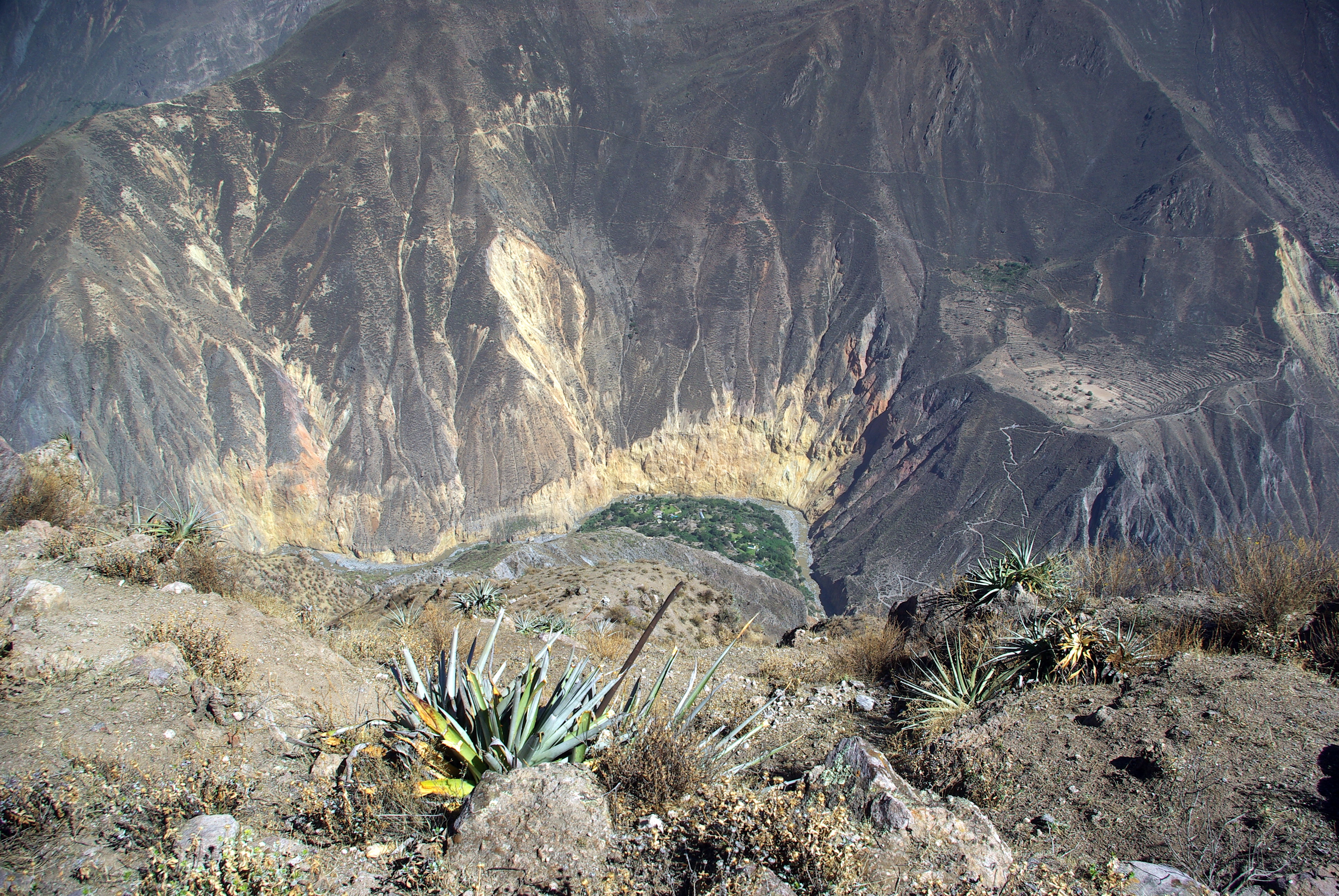 Looking into the Colca Canyon from near Cabanaconde. The green area at the bottom is the "Oasis" with several tourist resorts.