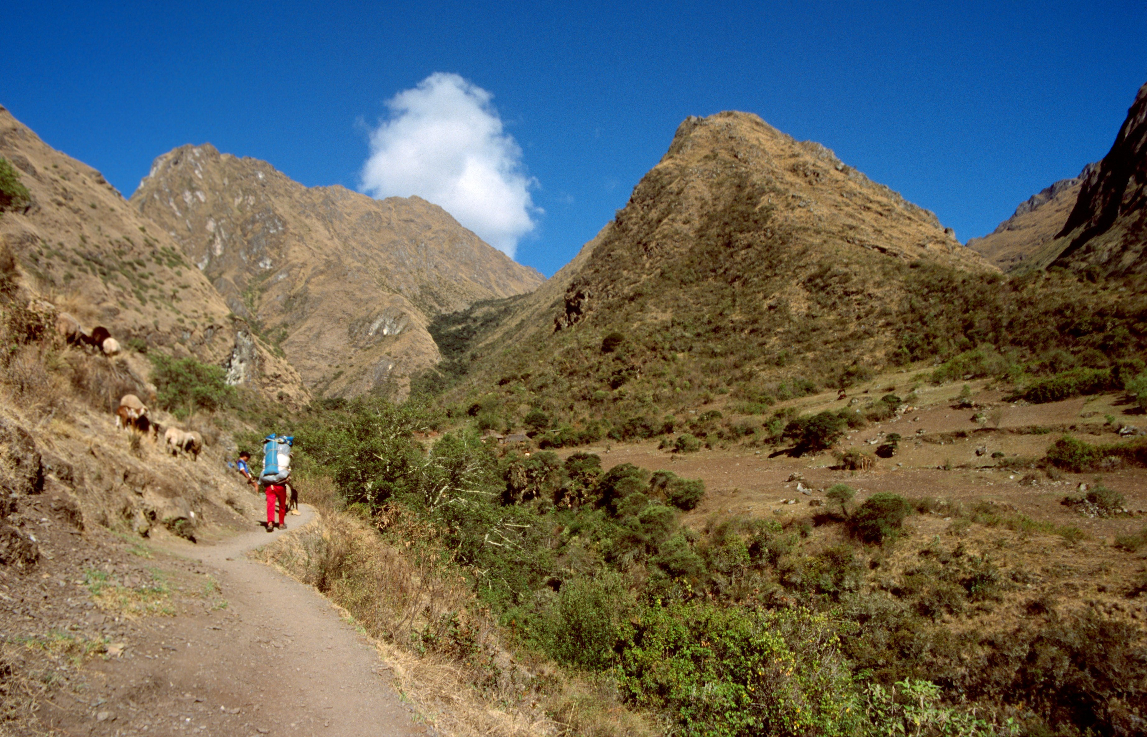 Inca trail from Cusco to Machu Picchu in Perú.
Day 2. Ascent to Warmiwanusca or Dead Woman's Pass, which, at 4,200 m above sea level, is the highest point on the trail.