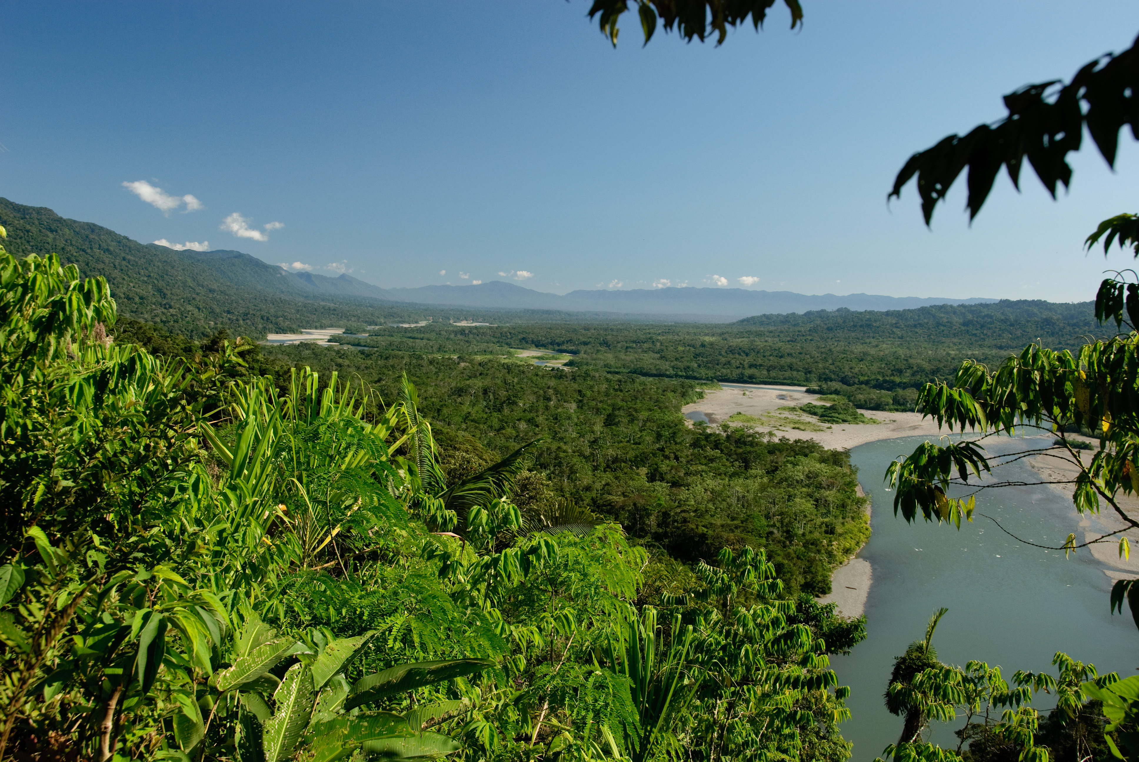 Manú National Park, Río Alto Madre de Dios