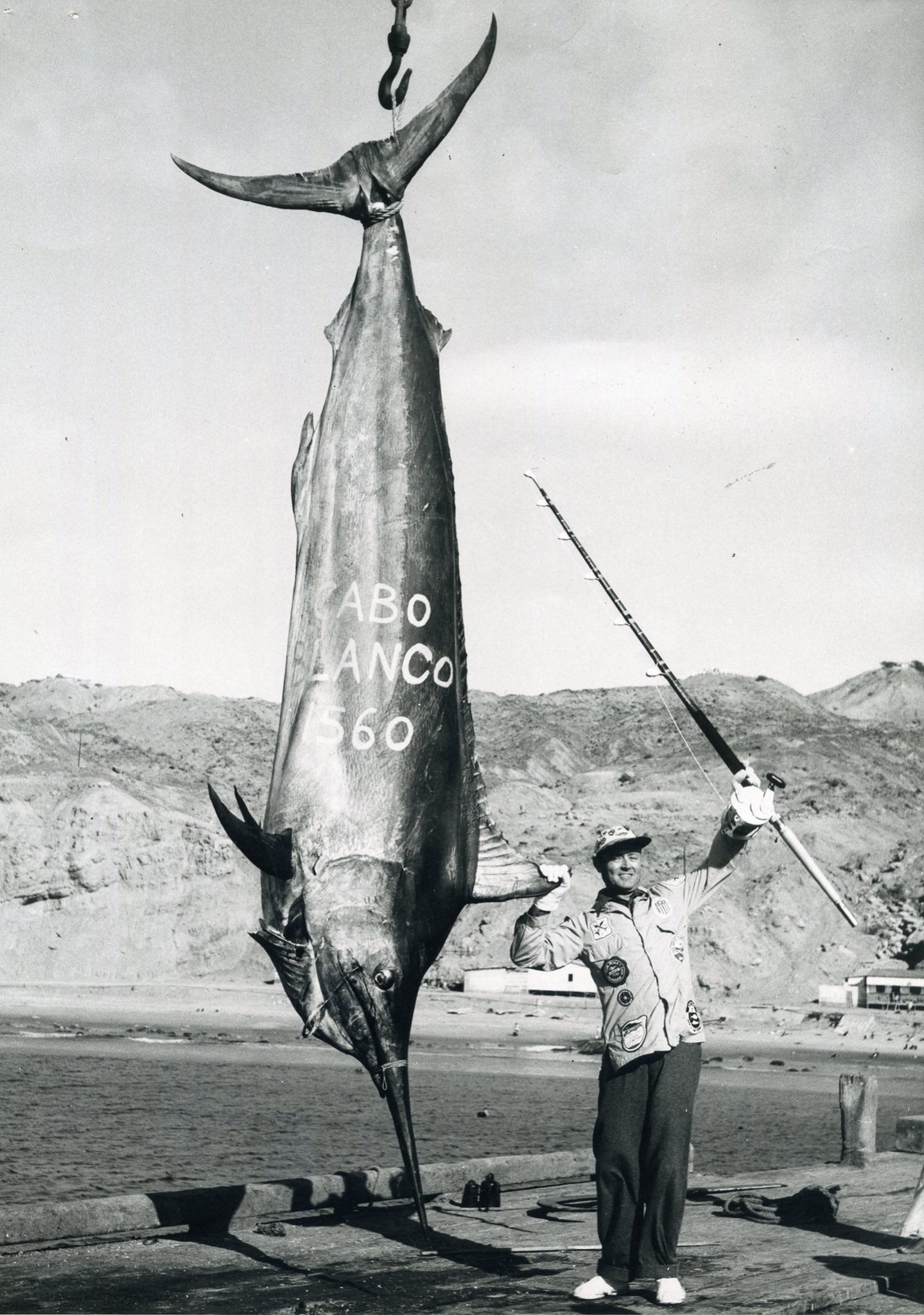 Record-breaking 1,560-pound black marlin caught by Alfred C. Glassell Jr. off of Cabo Blanco, Peru