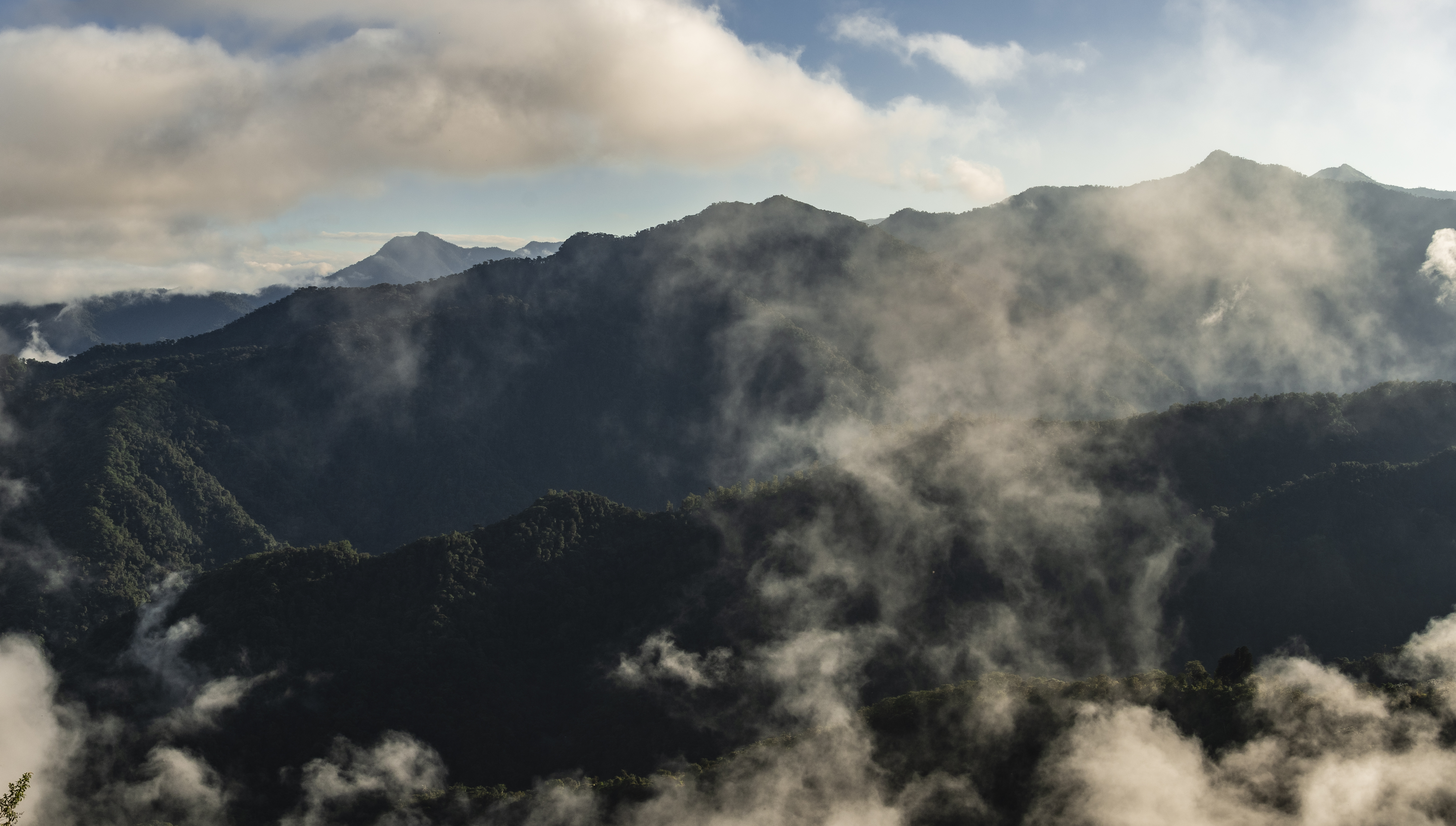 Landscape view of the Bellavista Cloud Forest