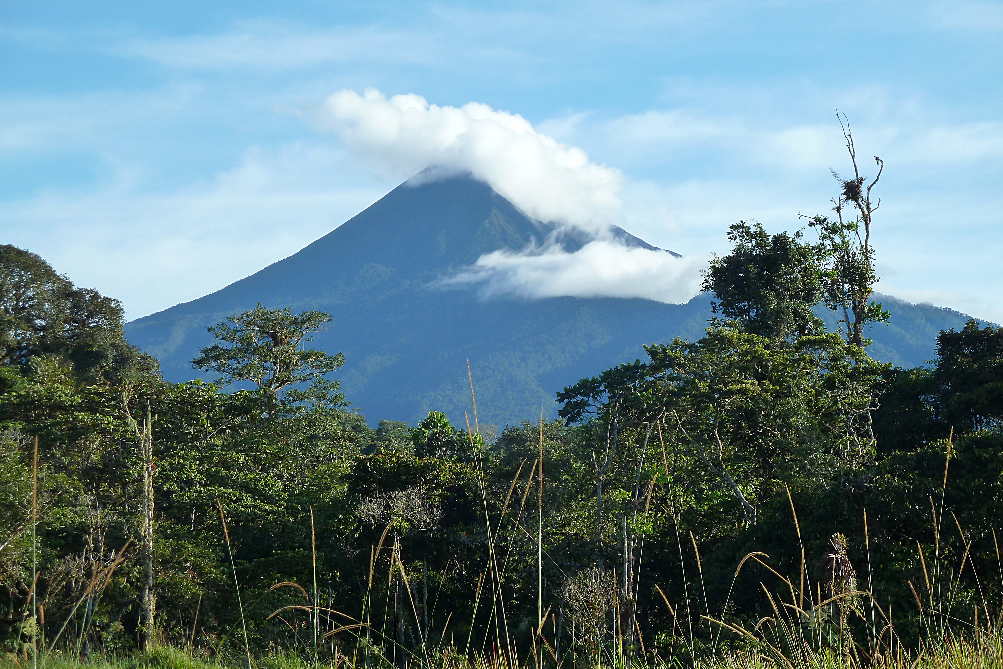 Volcán Sumaco - 14 June 2015 - Wildsumaco Lodge, Napo Province, Ecuador