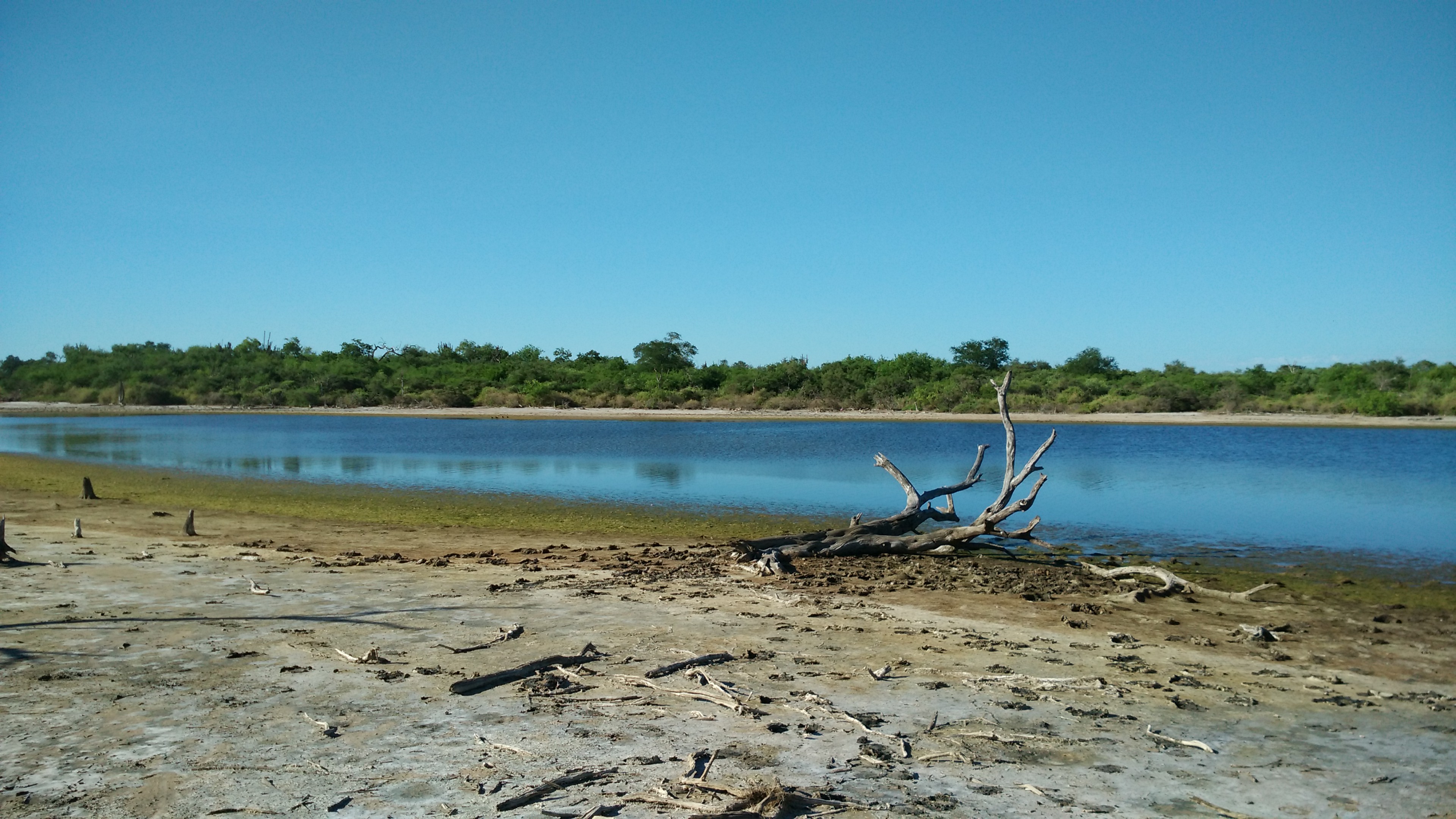 Laguna en el Chaco paraguayo. Foto tomada en enero de 2017
