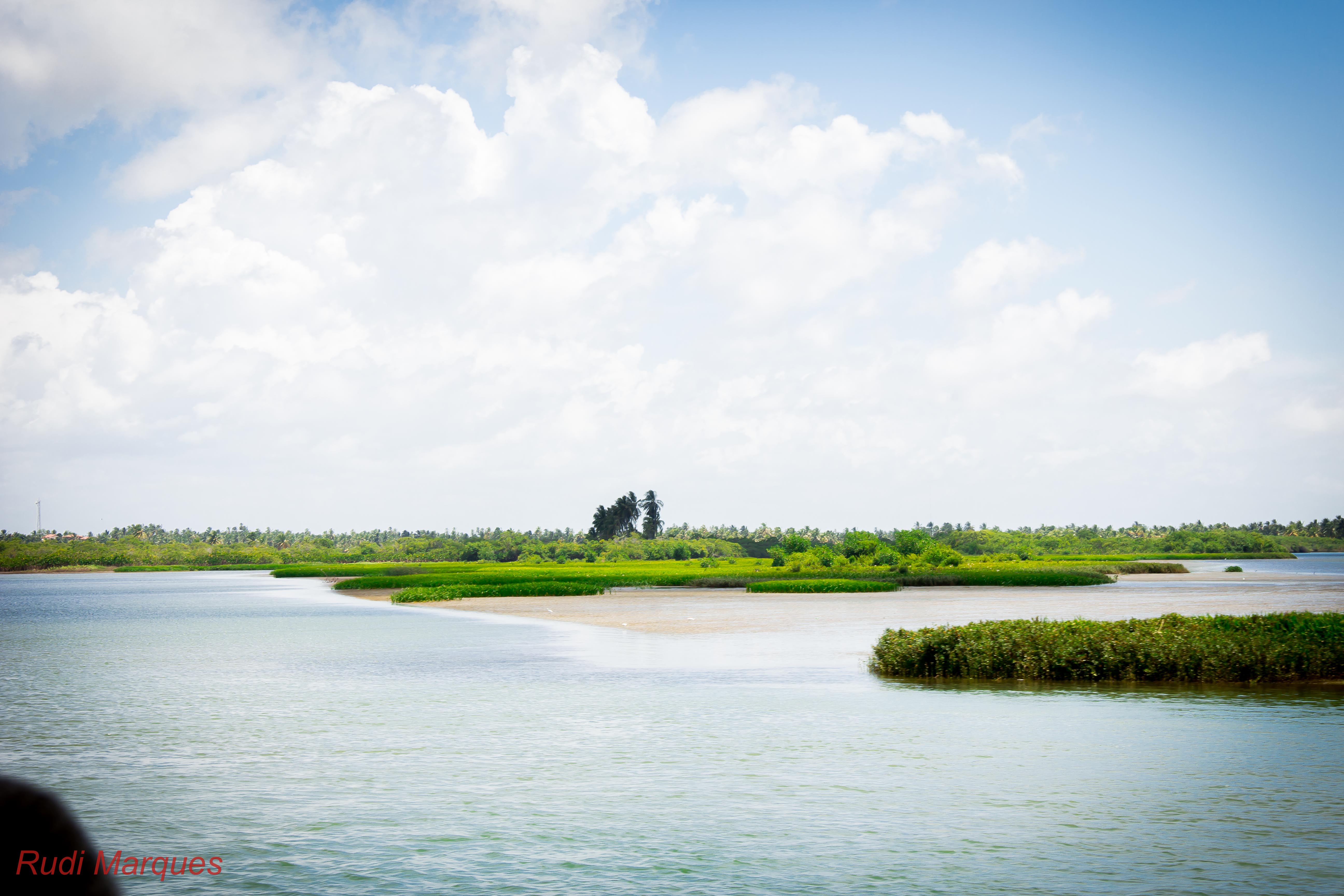 Estuário do Rio São Francisco