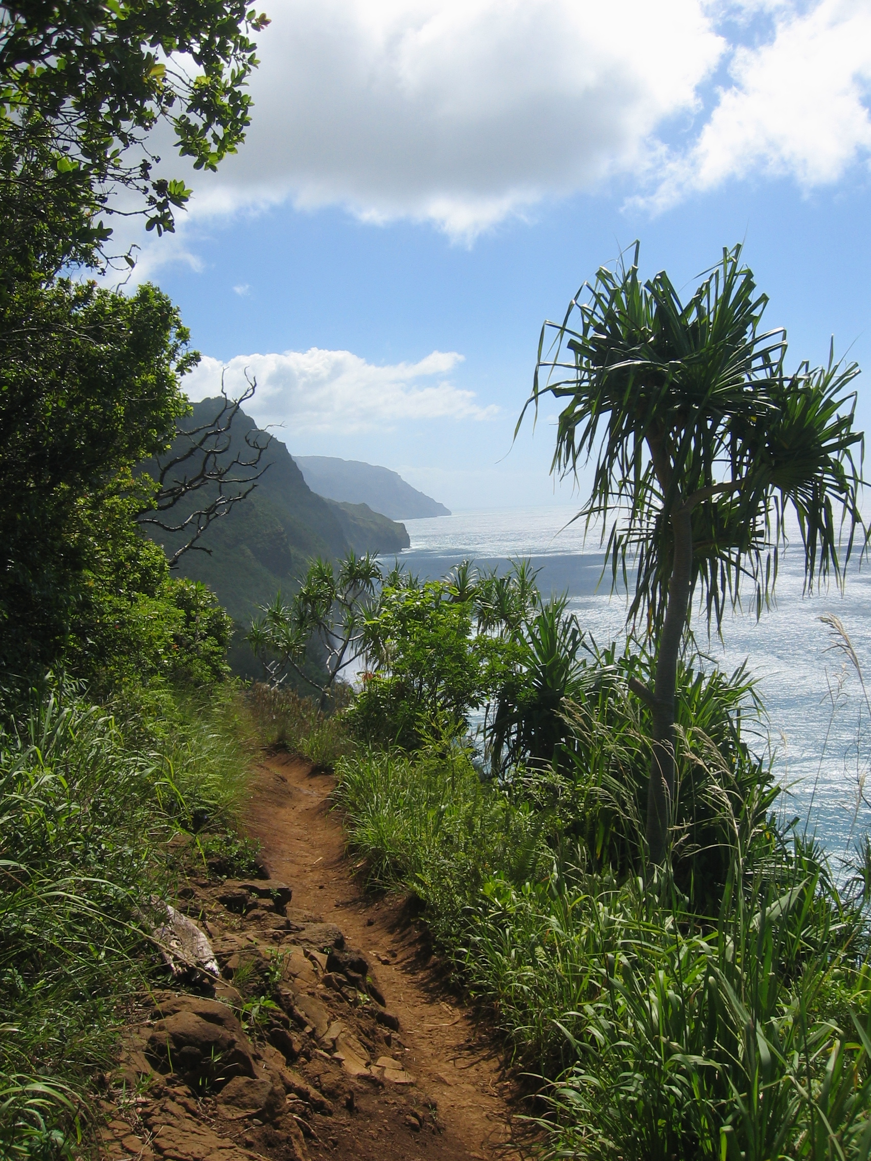 A scene from the first two miles of the Kalalau Trail along the Na Pali Coast of Kaua‘i.