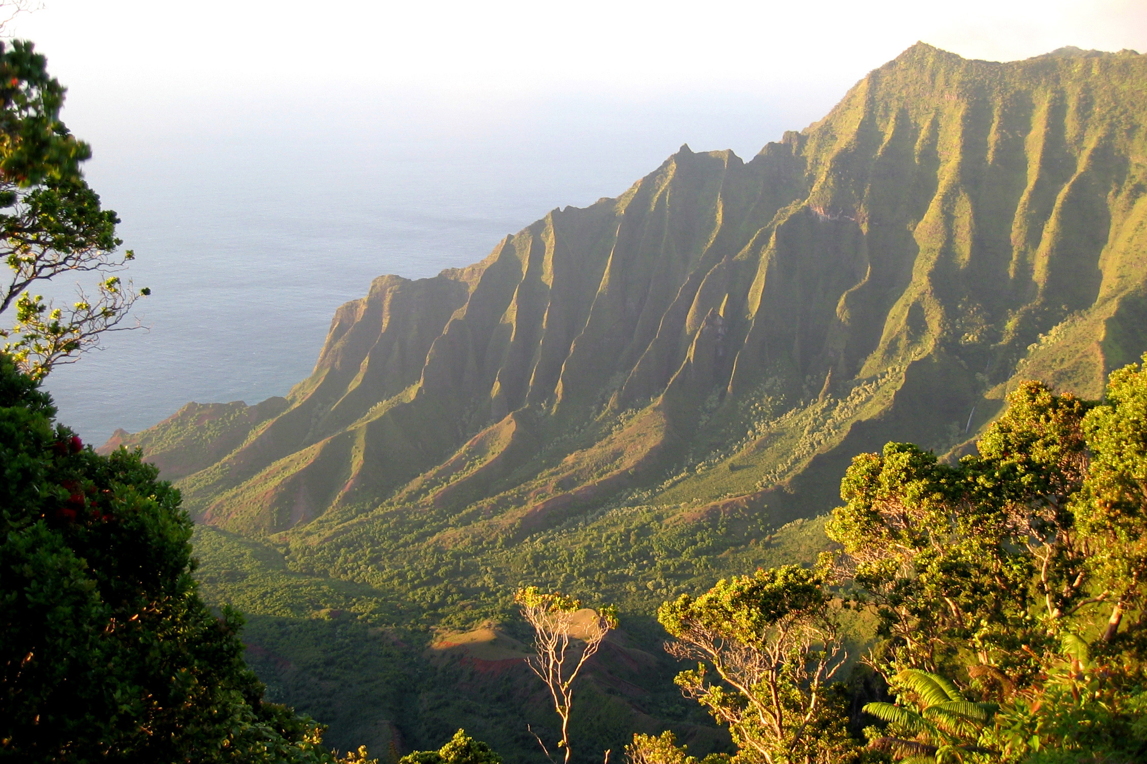 Overlooking the Kalalau Valley and the eroded, green cliffs of the Na Pali Coast in late-afternoon light. From an overlook along Rt 550 in the Koke'e State Park, Kauai Island, Hawaii.
