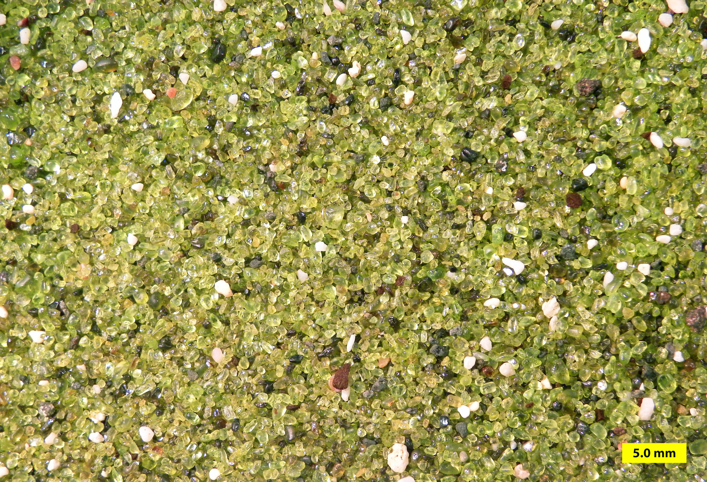 Papakōlea Beach sand near South Point, Kaʻū district, the island of Hawaiʻi. Sample from Lizzie Reinthal.