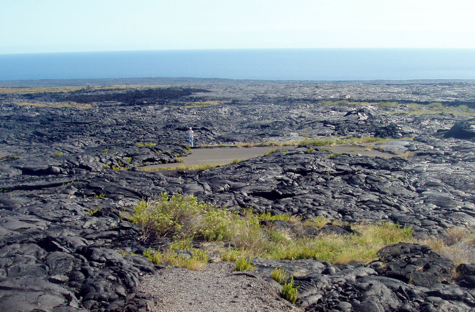 Solidified lava covering the Chain of Craters Road in Hawai'i Volcanoes National Park.
