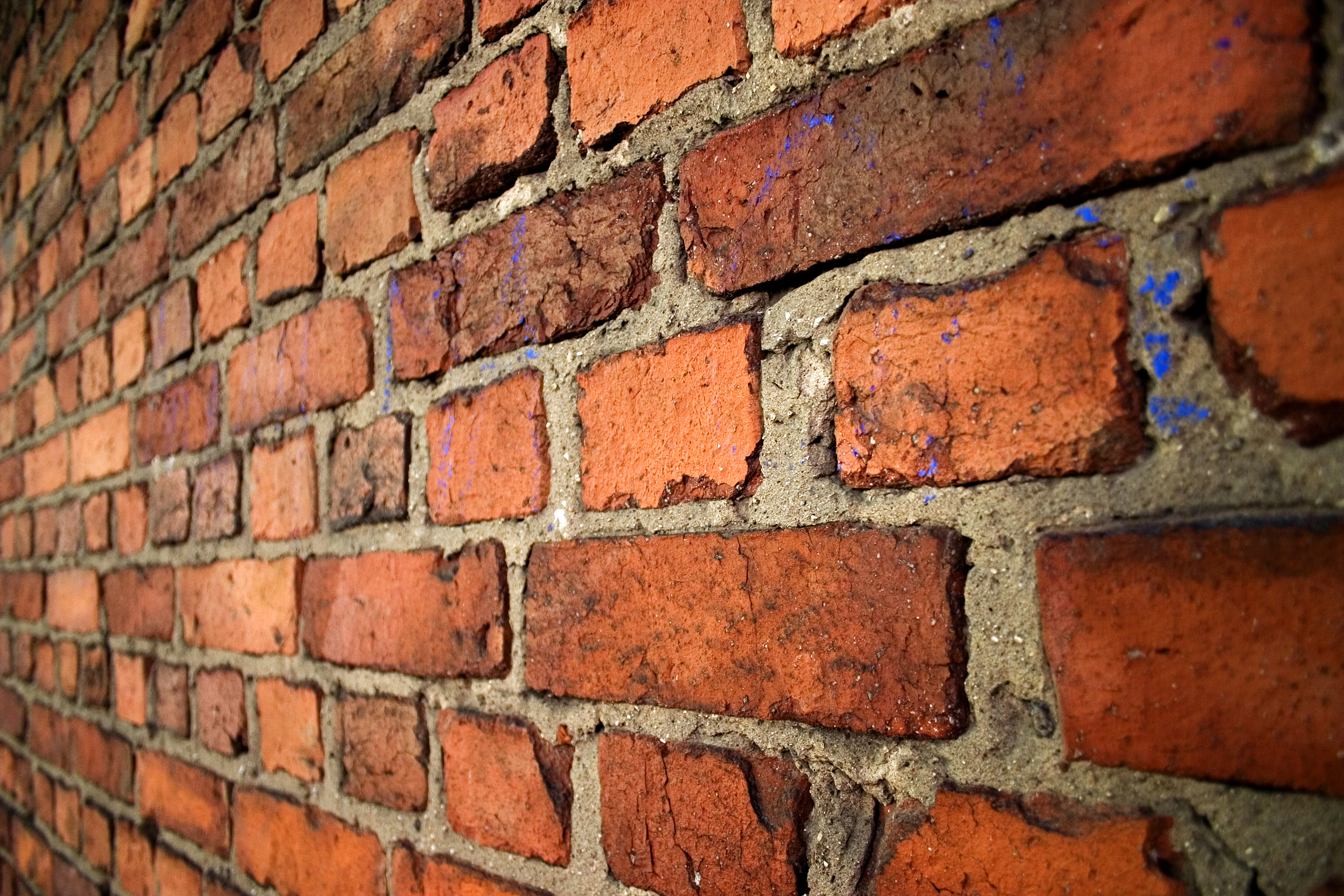 Brick wall in English cross bon pattern.