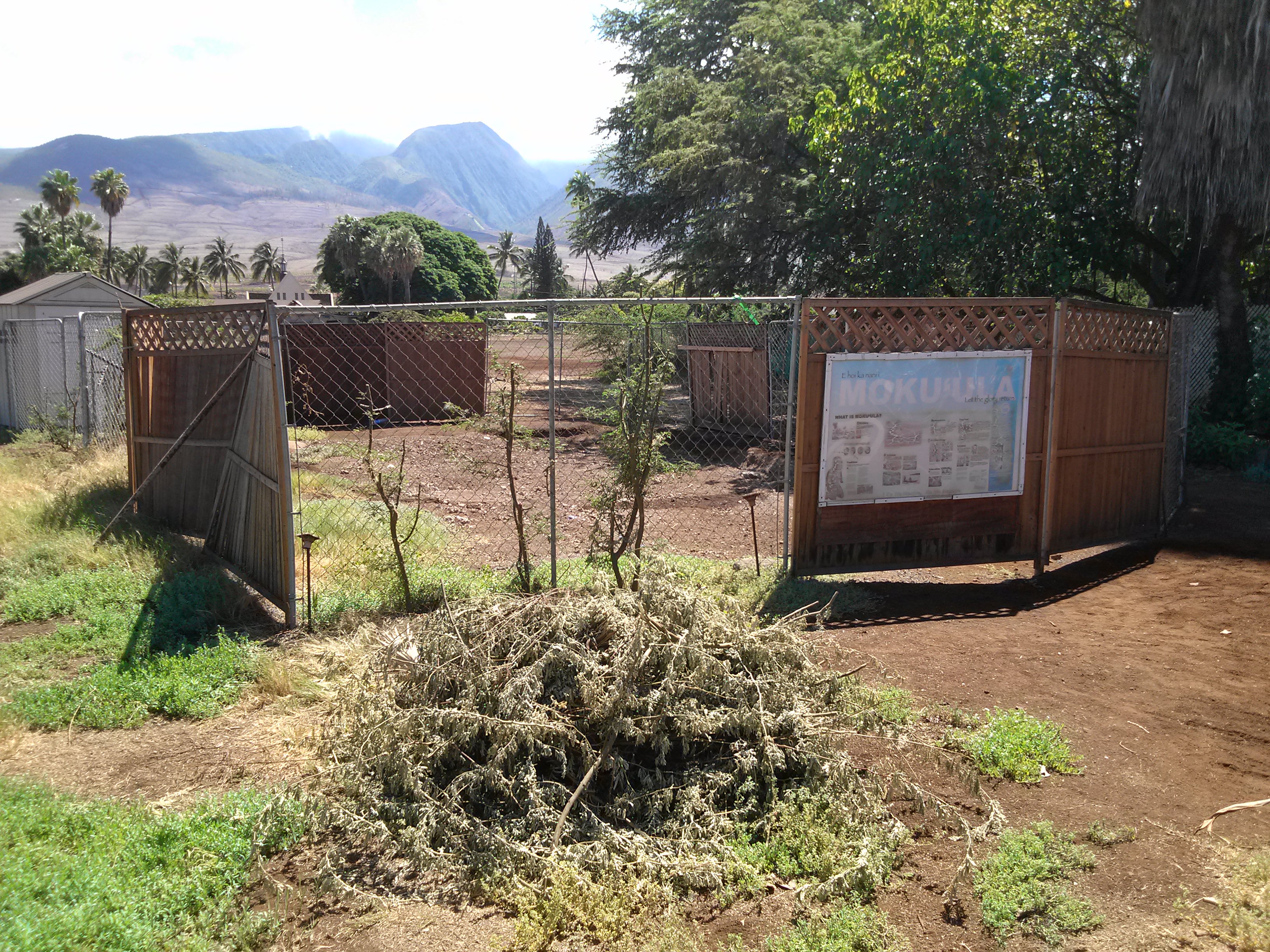 en:Mokuʻula excavation site.