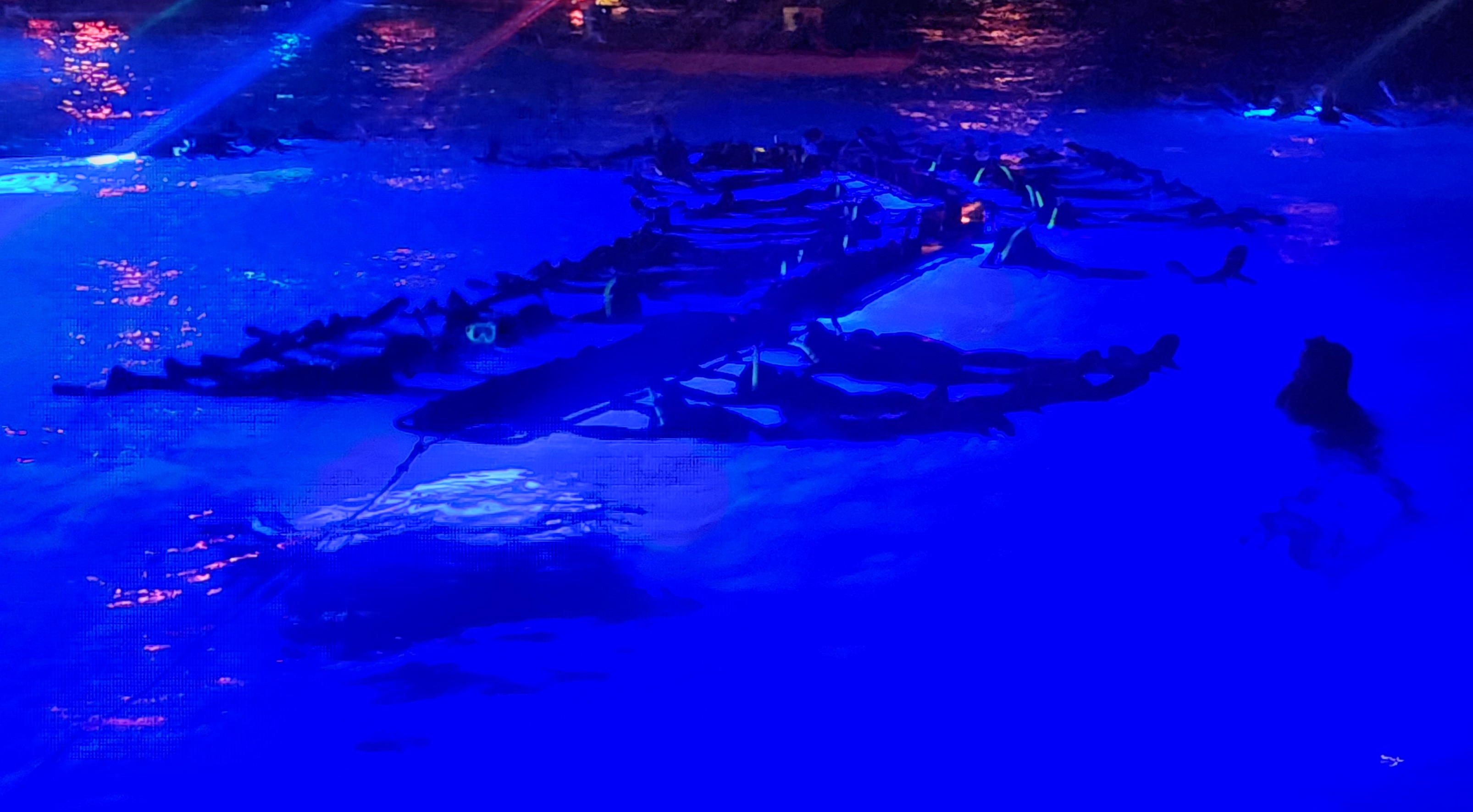 A group of divers floats holding onto a lighted raft, which attracts plankton and thus manta rays (foreground), on the Big Island, Hawaii.