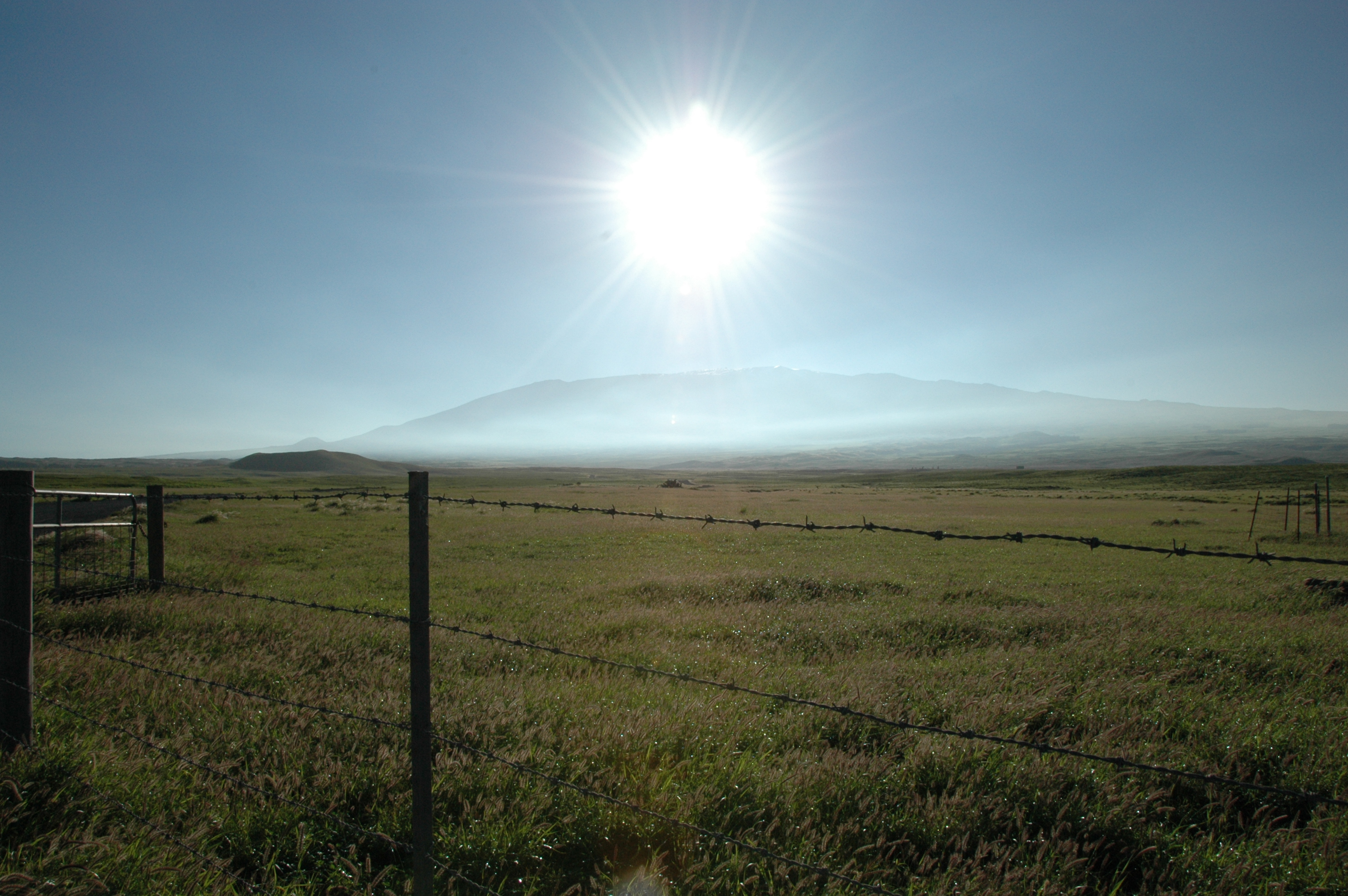 Cattle Lands at Parker Ranch, Big Island, Hawaii
