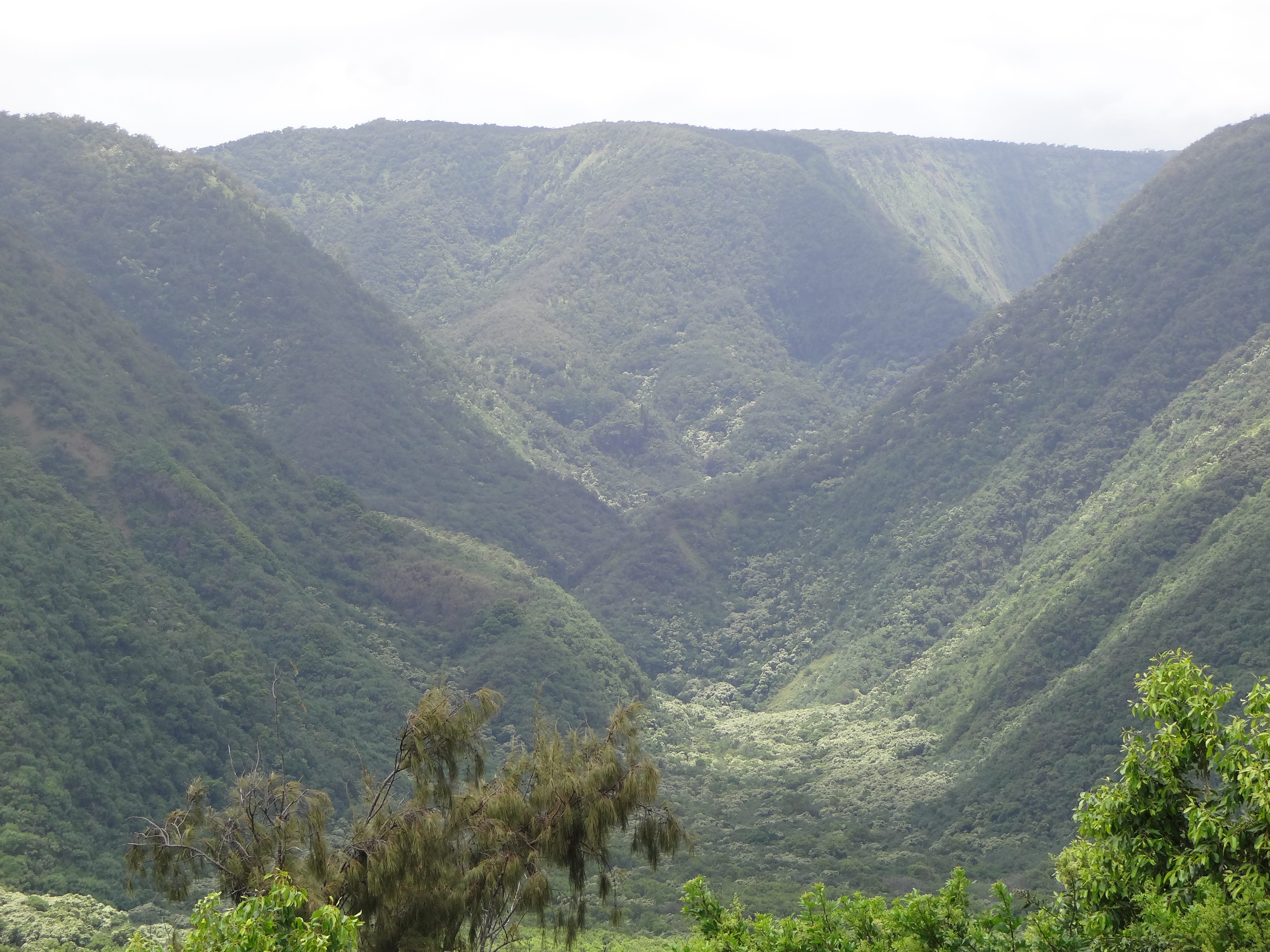 Looking south into the Pololū Valley from the Pololū Valley Lookout, Island of Hawaii
