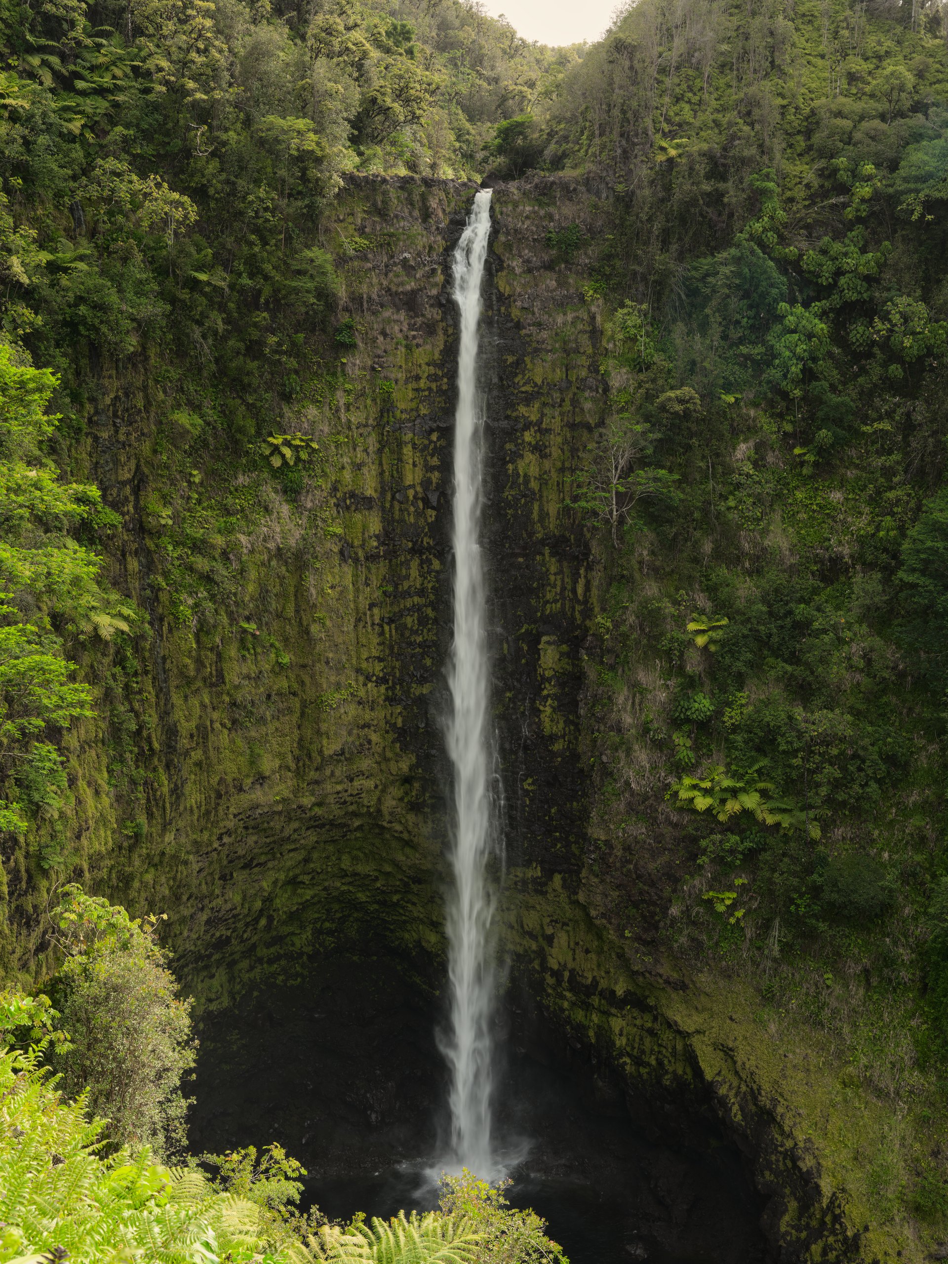 Akaka falls in Hawaii