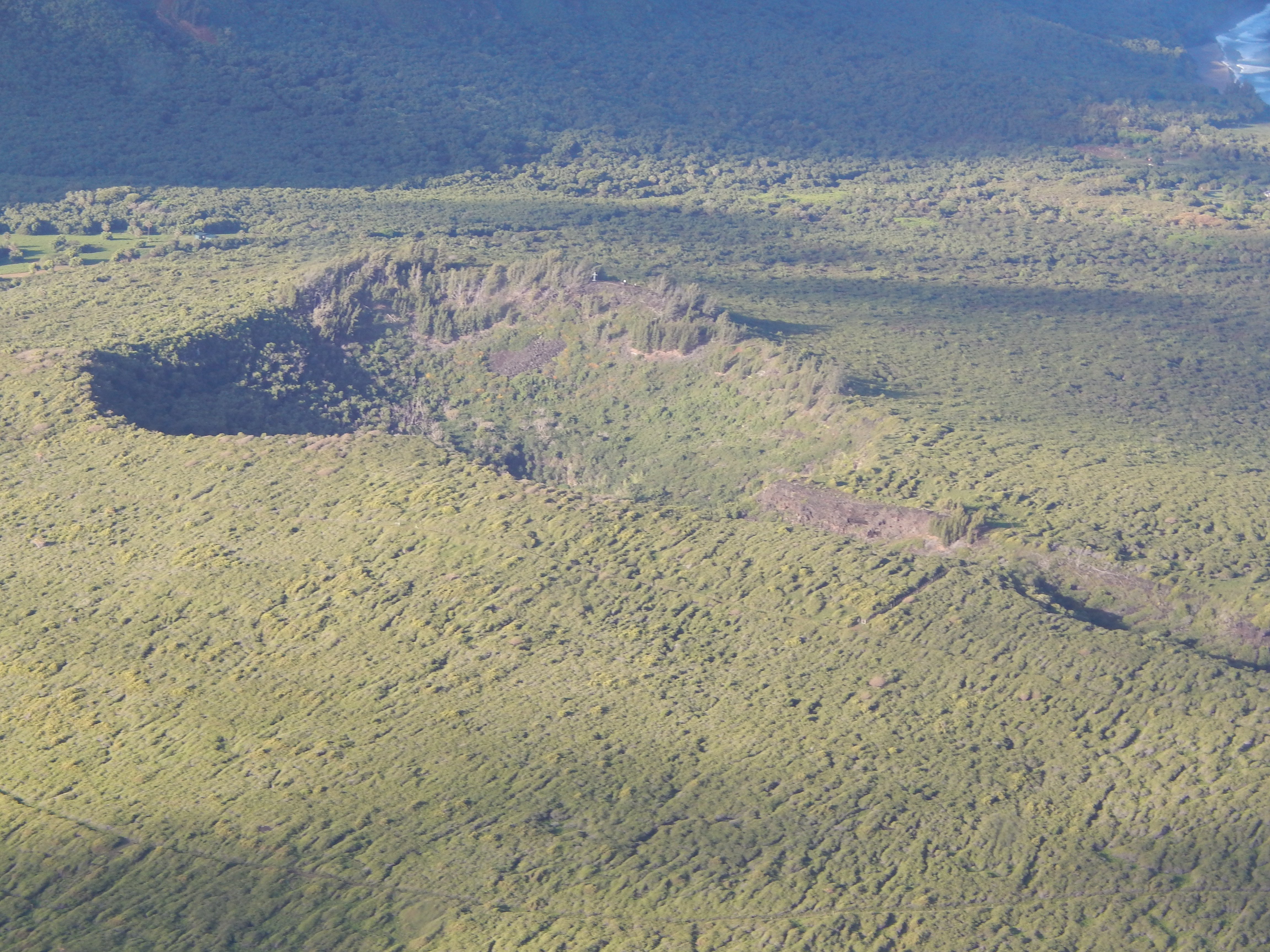 Casuarina equisetifolia (Ironwood)
Aerial view Kalaupapa and Kauhako Crater at North Coast, Molokai, Hawaii.
October 25, 2014

#141025-2369


Image Use Policy