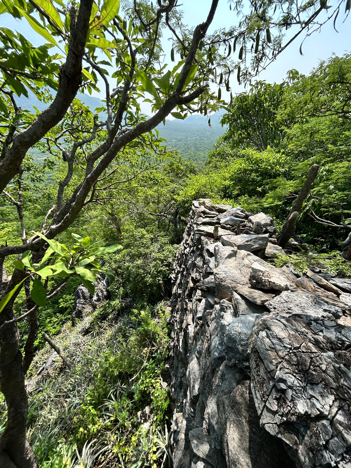 A section of the City Walls facing the Tehuantepec River