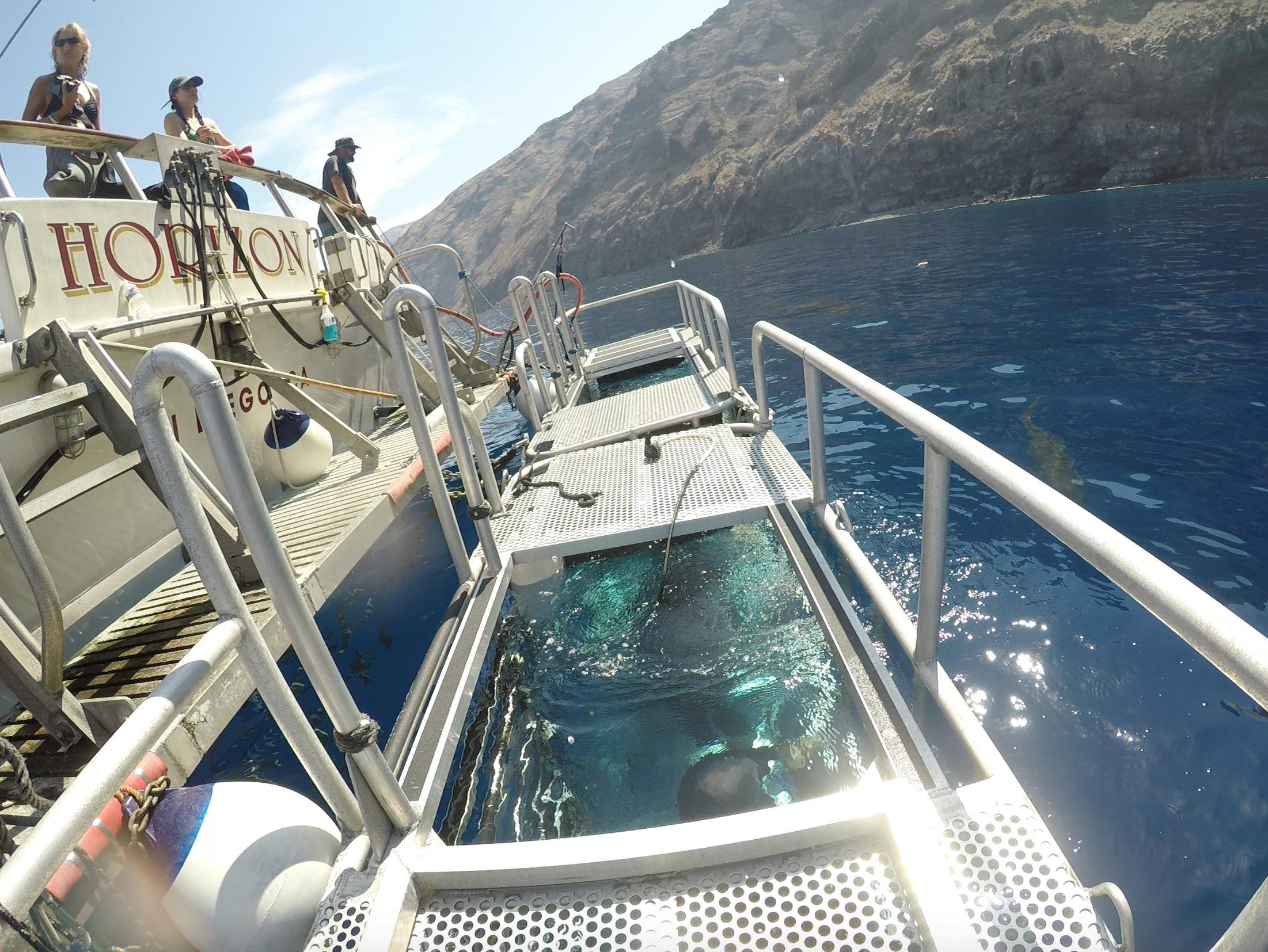 White shark cage diving at Guadalupe Island with the MV Horizon
