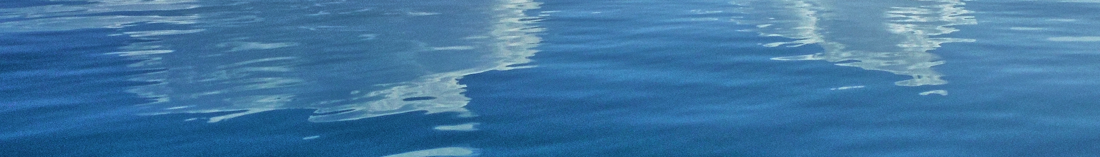 Day trip to Coronado island. Coronado Island itself is small. It is a place covered by volcanic cacti, white sand beaches and a nearby rocky islet. Crossing its eight kilometers (5 miles) takes about 20 minutes by “panga” as canoes are usually called. We decided to take the fast route and ride in a Apex (zodiac). Once you reach the shore, you will be able to enjoy a spacious area in which you can practice both hiking and beach activities. The pale blue water bathing the ivory colored sand offers and exceptional opportunity for diving or snorkeling.