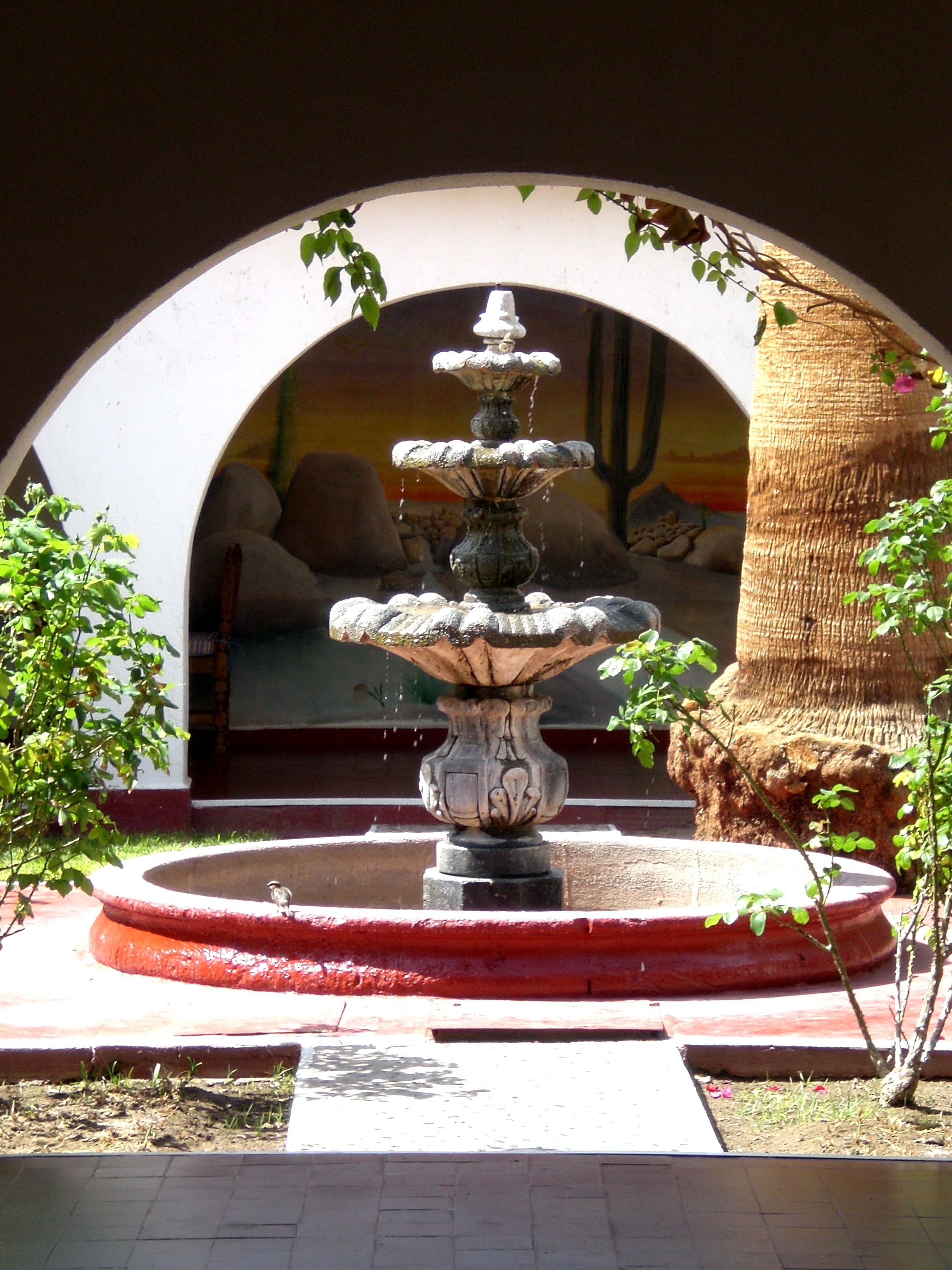 Bird and Fountain in Cataviña