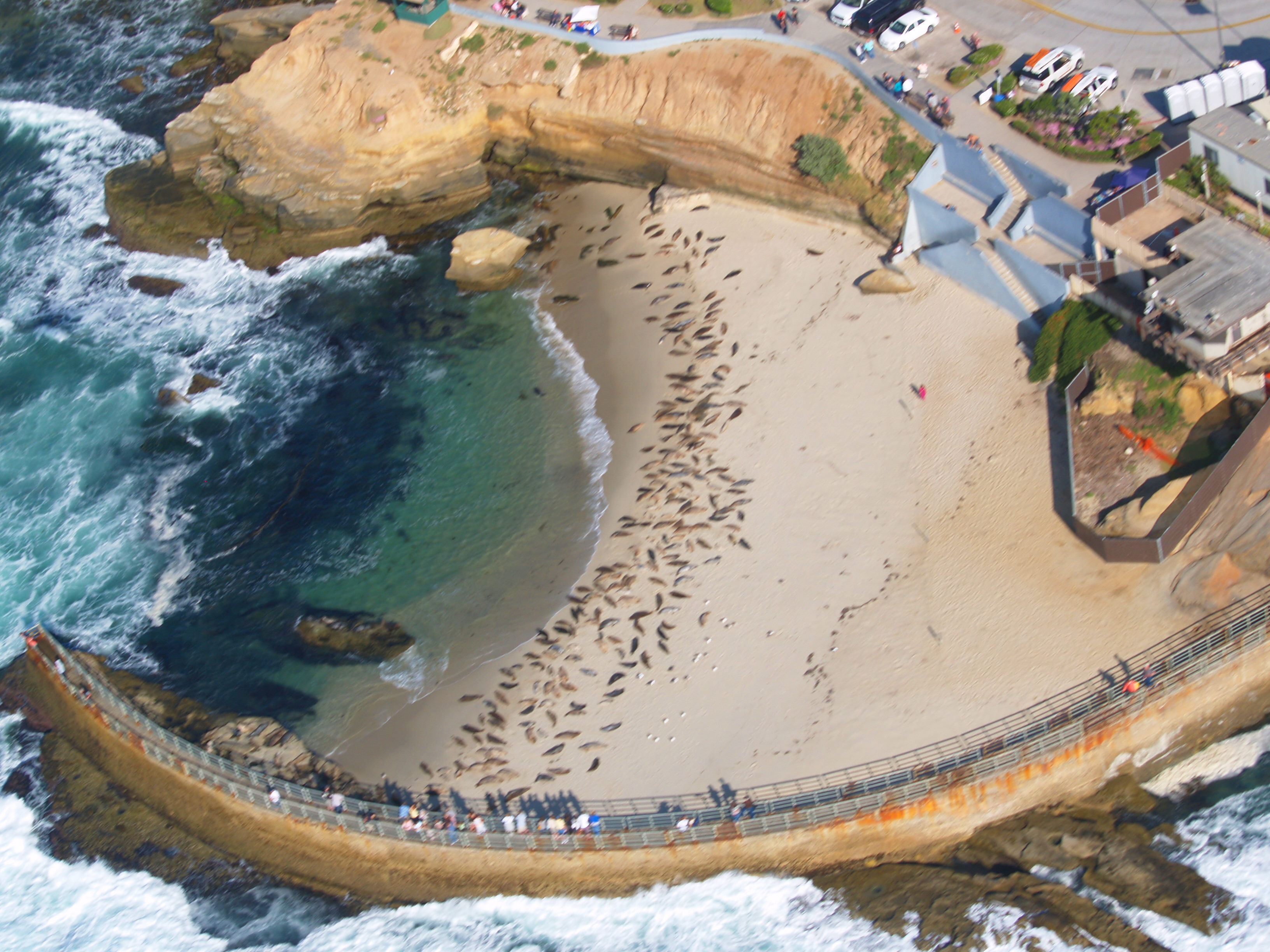 Aerial view of the Children's Pool in La Jolla, San Diego, California, USA