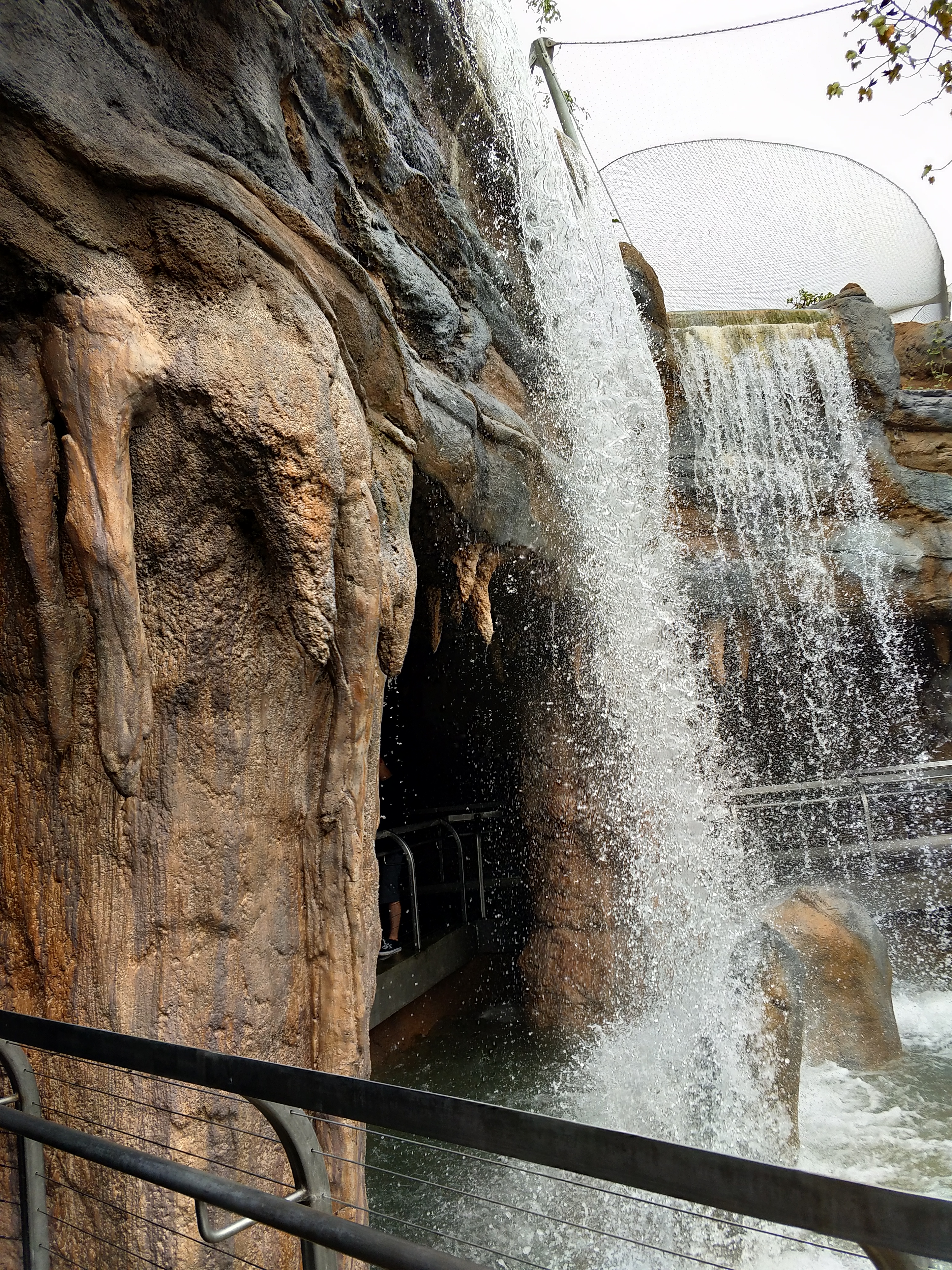 Waterfall at the San Diego Zoo's Africa Rock exhibit.