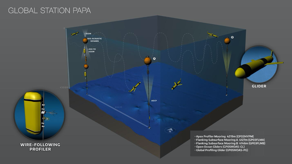 Conceptual design of Global Station Papa Array