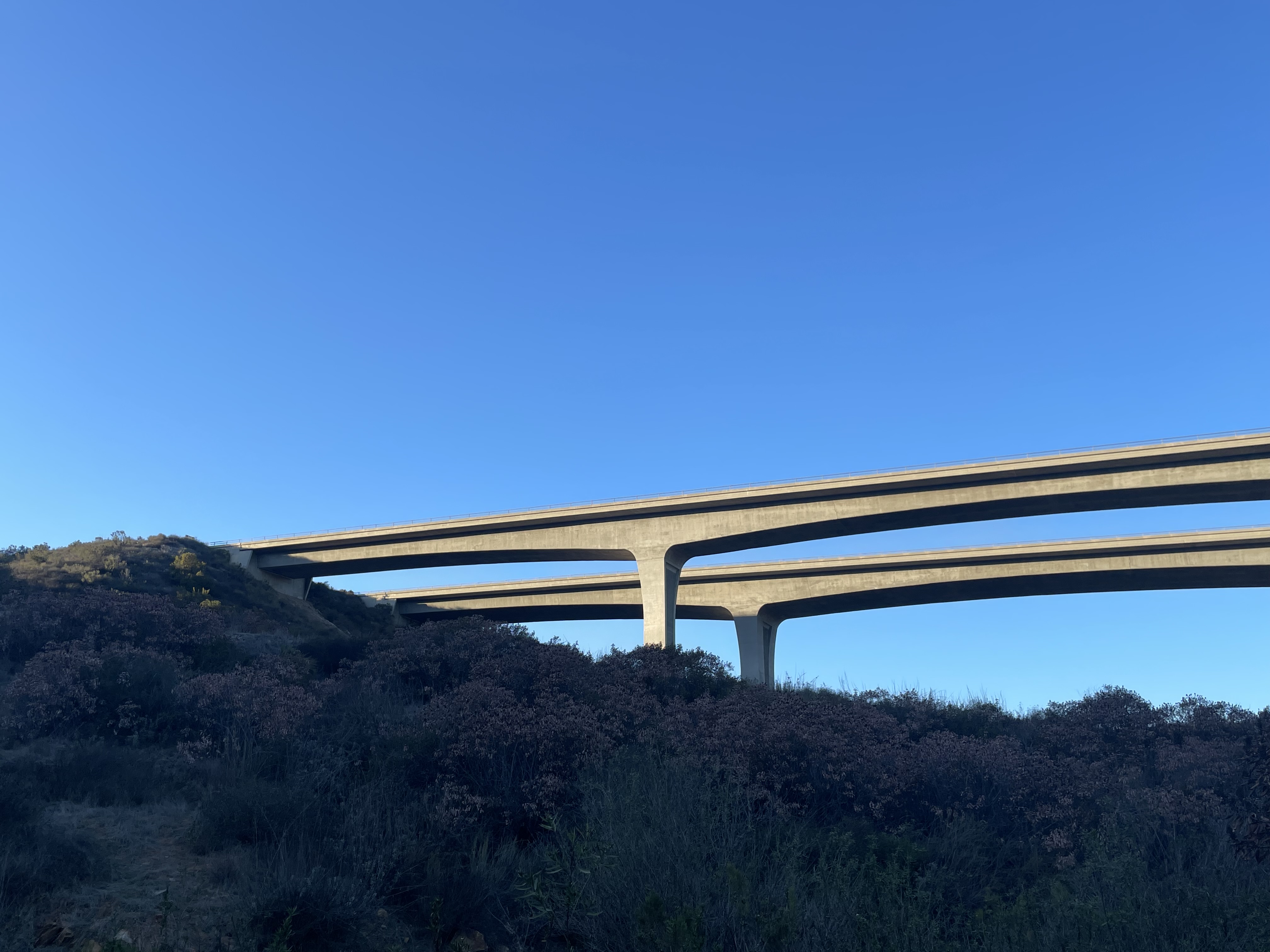 California State Route 52 bridge crossing Oak Canyon in Mission Trails Regional Park, February 2025.