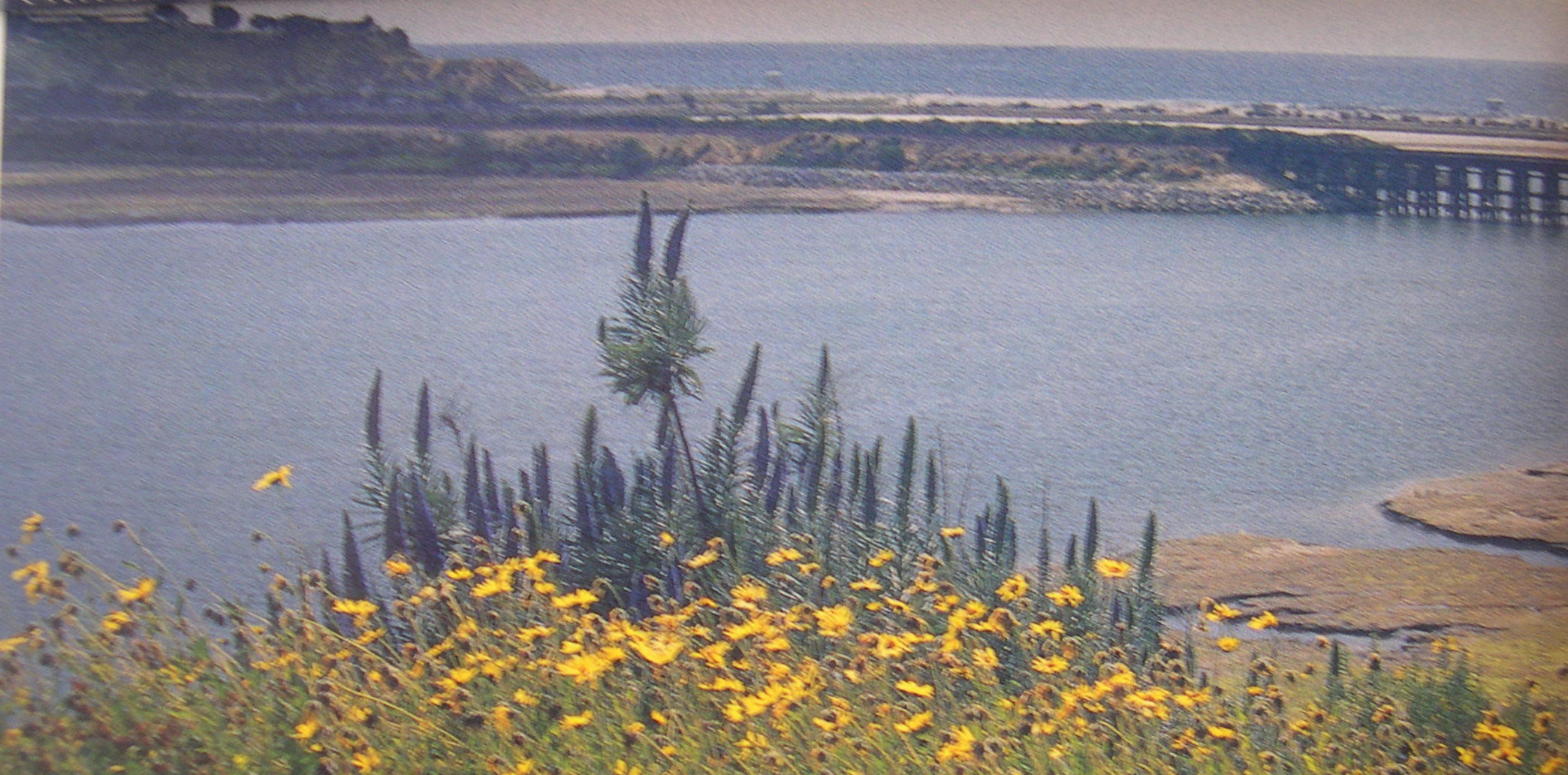 Batiquitos Lagoon.