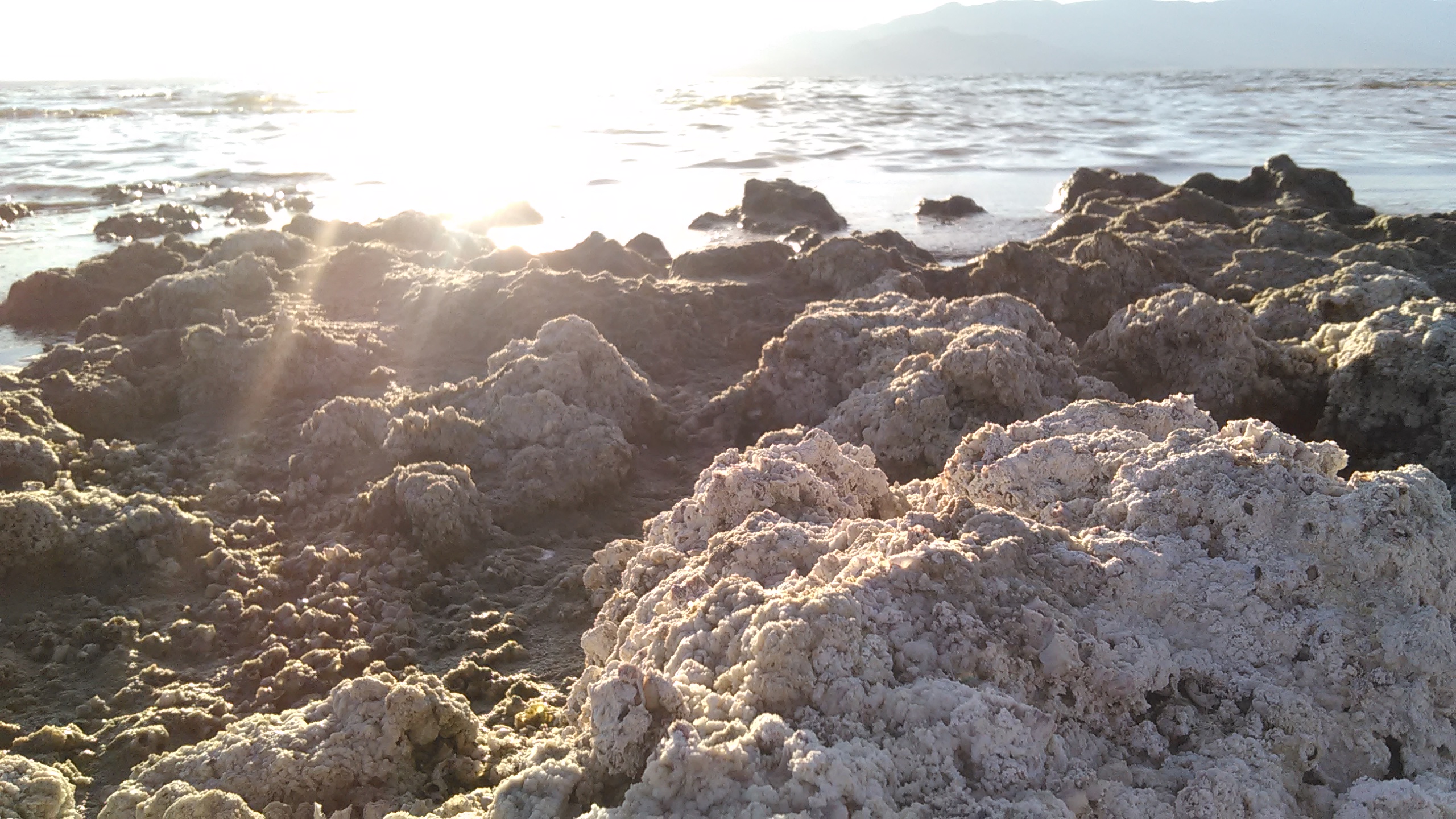 Large amounts of salt deposits along the eastern shore of the Salton Sea