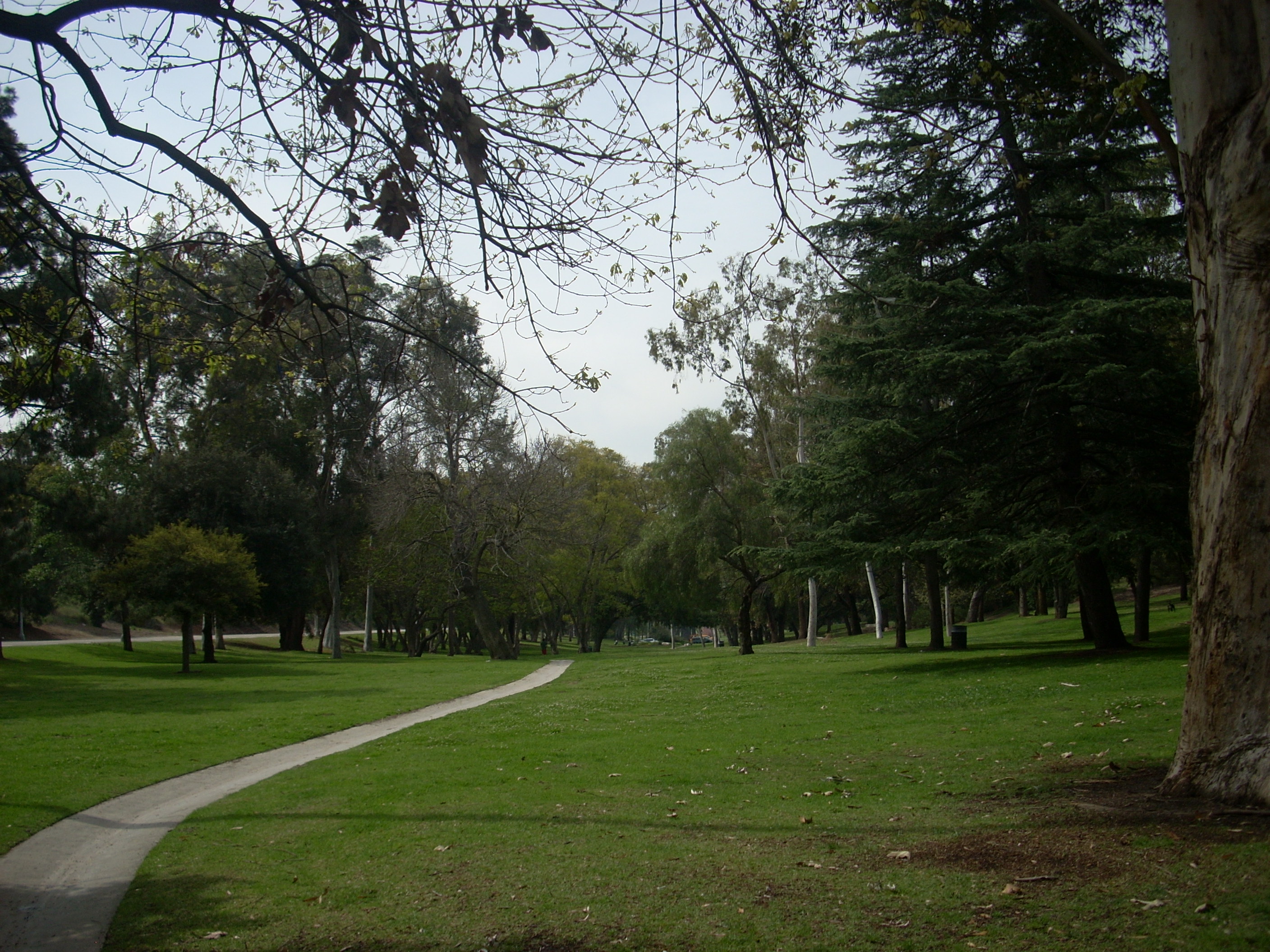 Chavez Ravine Arboretum - Elysian Park - Los Angeles, California