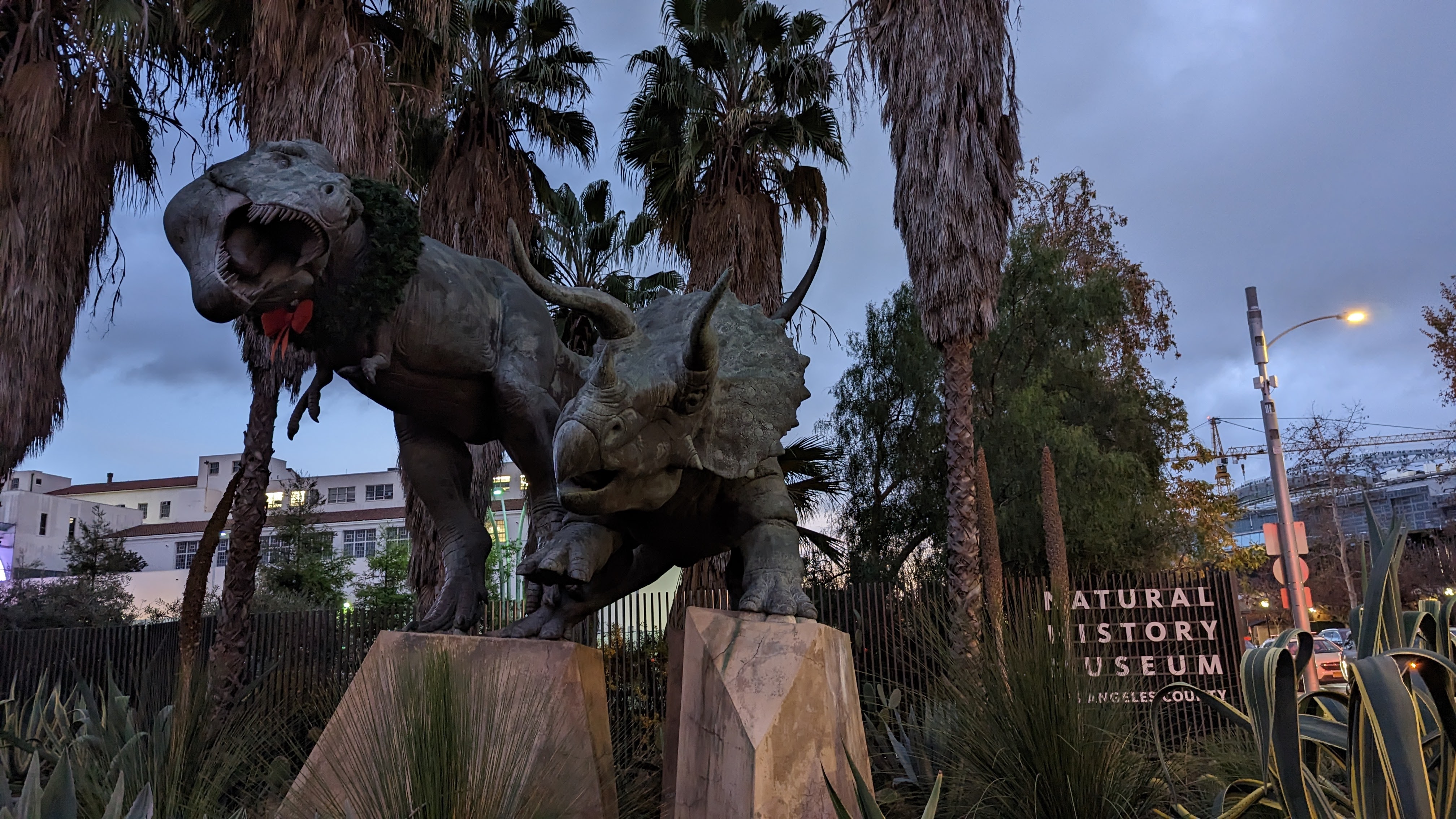 Dinosaur statues decorated for Christmas.  They are positioned outside the entrance to the National History Museum of Los Angeles County.  The picture was taken around sunset in late December 2022 by Rachel Umstead on a site visit to the Natural History Museum.  The T-Rex statue has a holiday wreath around its neck.