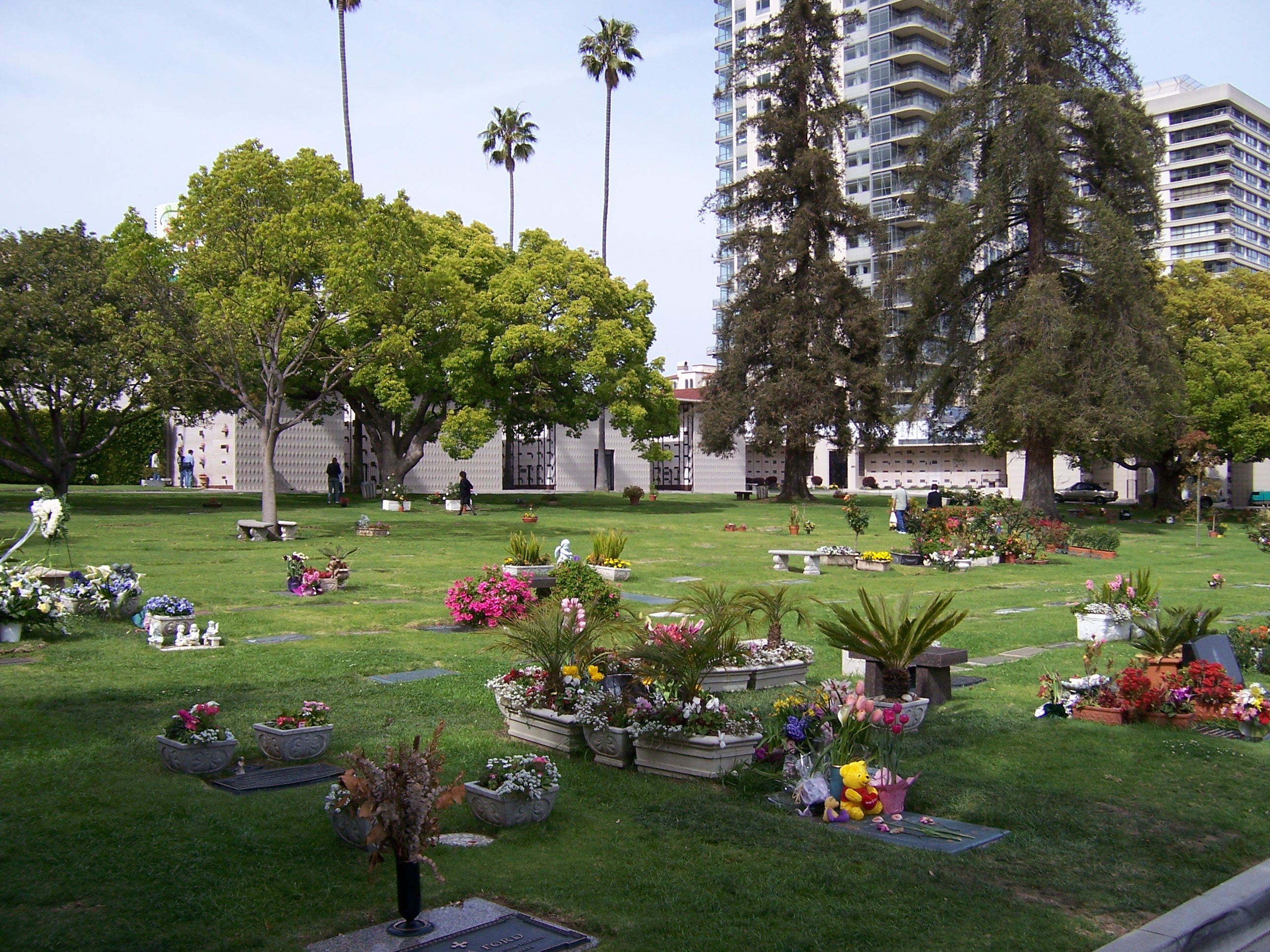 Westwood Village Memorial Park Cemetery view to northeast