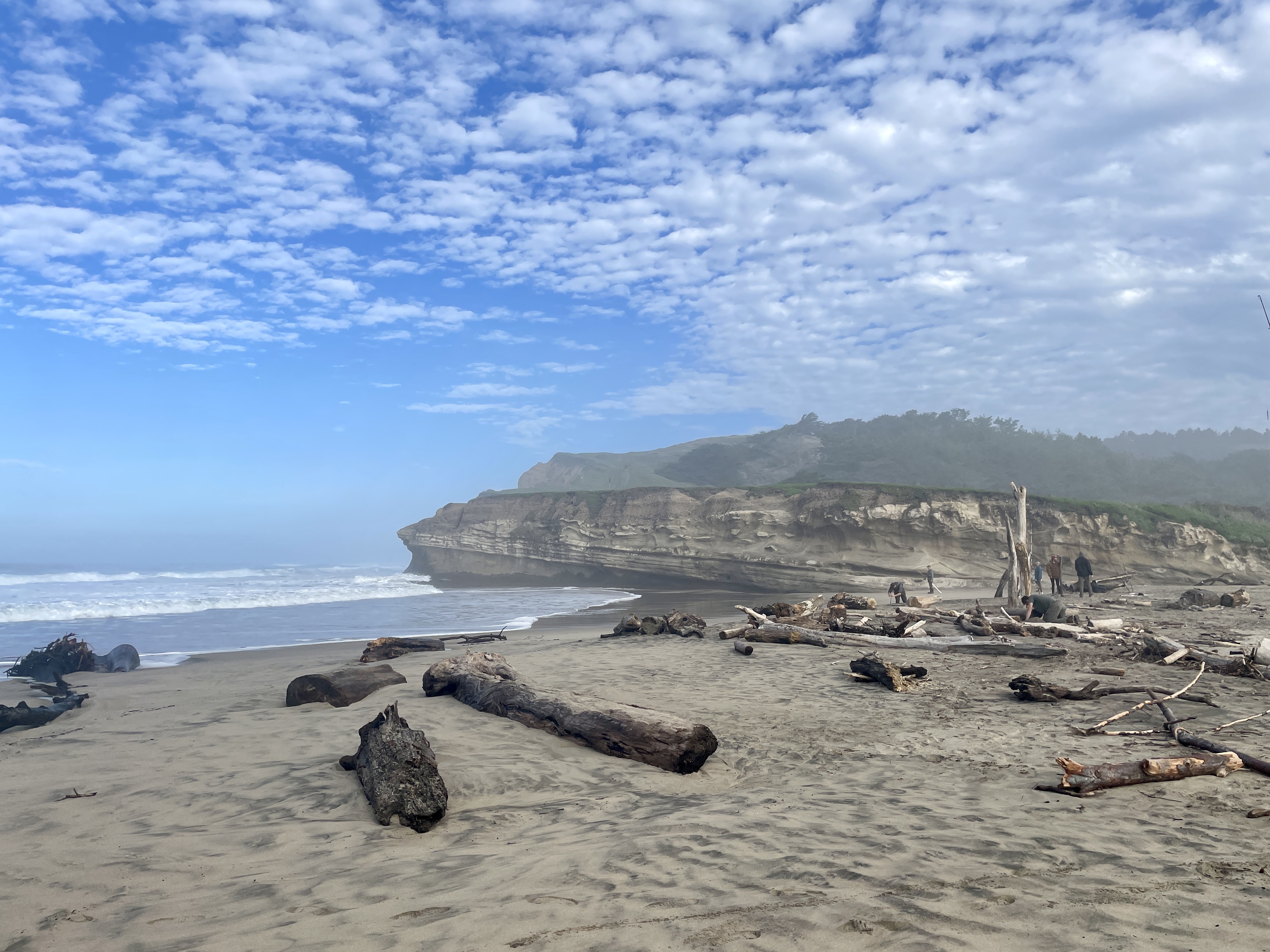 The view from the beach at San Gregorio State Beach, looking north towards the cliffs north of the lagoon.