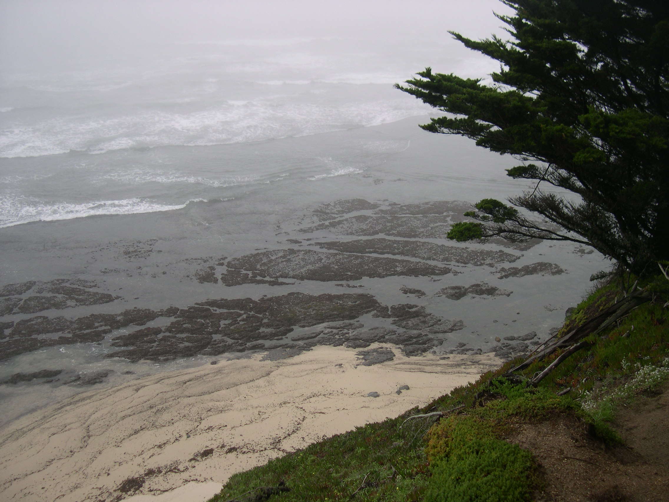 View from Bluff Trail Looking down to Frenchmans Reef intertidal Zone, Fitzgerald Marine Reserve.
