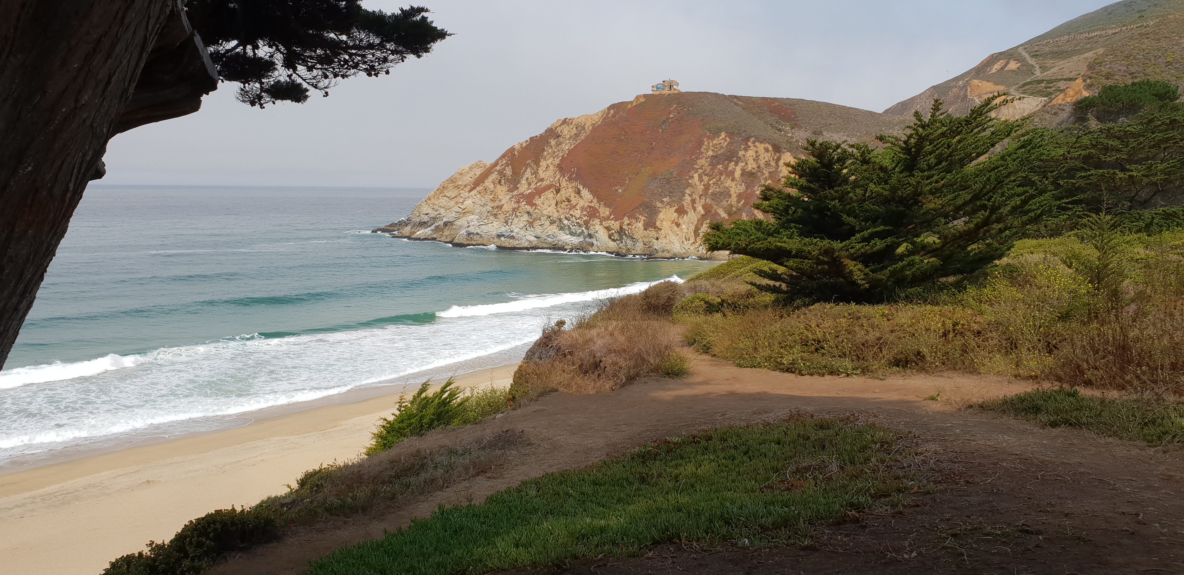 Gray Whale Cove State Beach
California State Park
Cabrillo Higtway
Higtway 1
Pacific Coast
California
United States
Oceano Pacifico
mare
baia

spiaggia