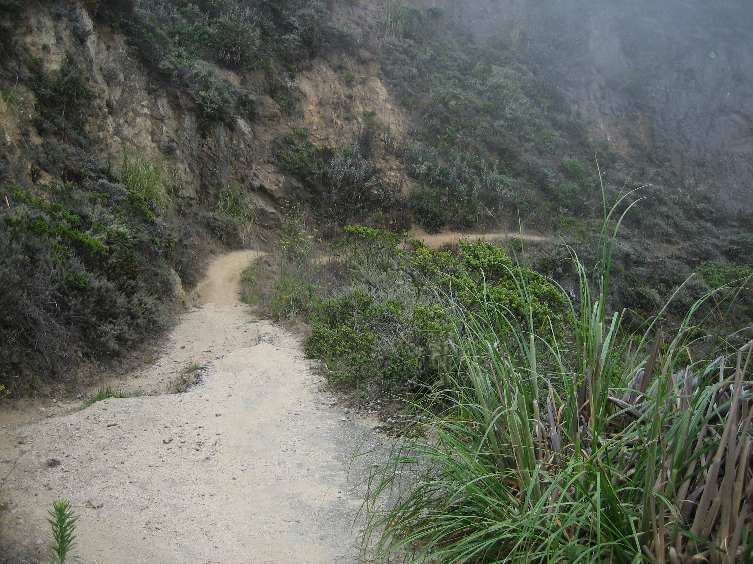 Some parts the old Pedro Mountain Road have totally vanished, leaving a single-track trail