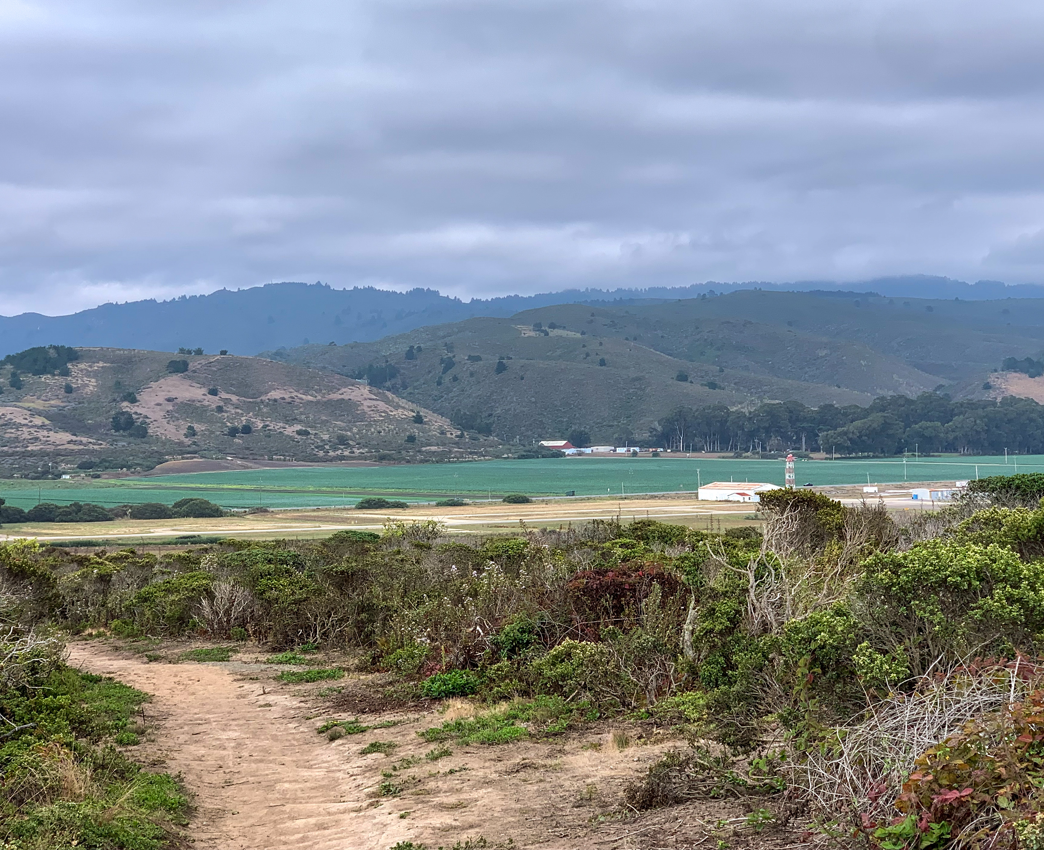 Pillar Point Bluff Trail, Moss Beach, Half Moon Bay, California.  Looking east from the trail, the mountain ridges of the Golden Gate National Recreation Area at Rancho Corral de Tierra are visible, with agricultural lands at the base showing cultivated pumpkin patches and Brussels sprouts grown by "Cabrillo Farms" and "The Farmer’s Daughter", popular farm stands off Cabrillo Highway or California State Route 1. Below it, the infrastructure of the Half Moon Bay Airport is visible across the street facing Pillar Point Bluff. Rabbits are frequently seen on the trails.