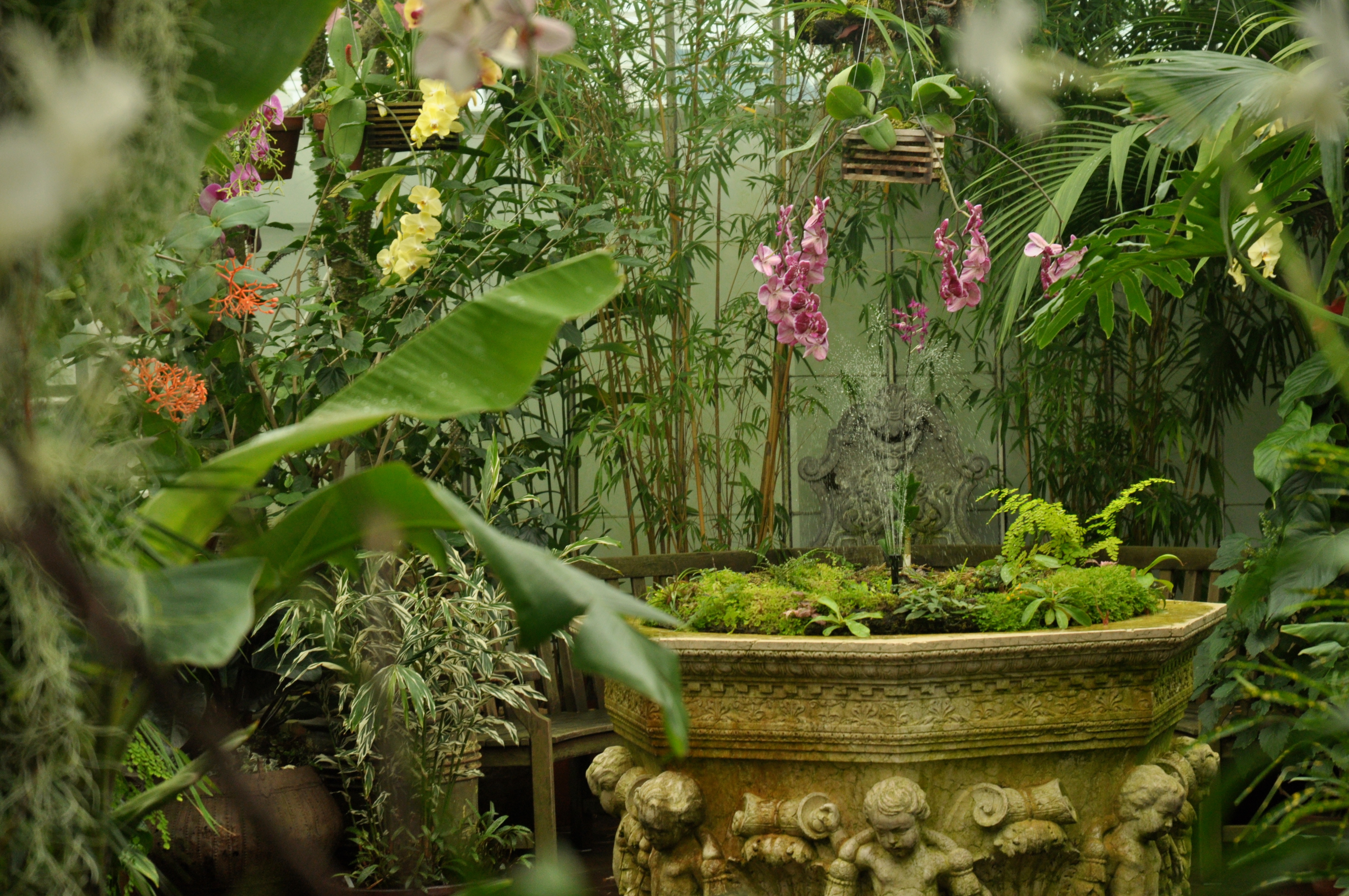 Golden Gate Park Conservatory Inside the Conservatory