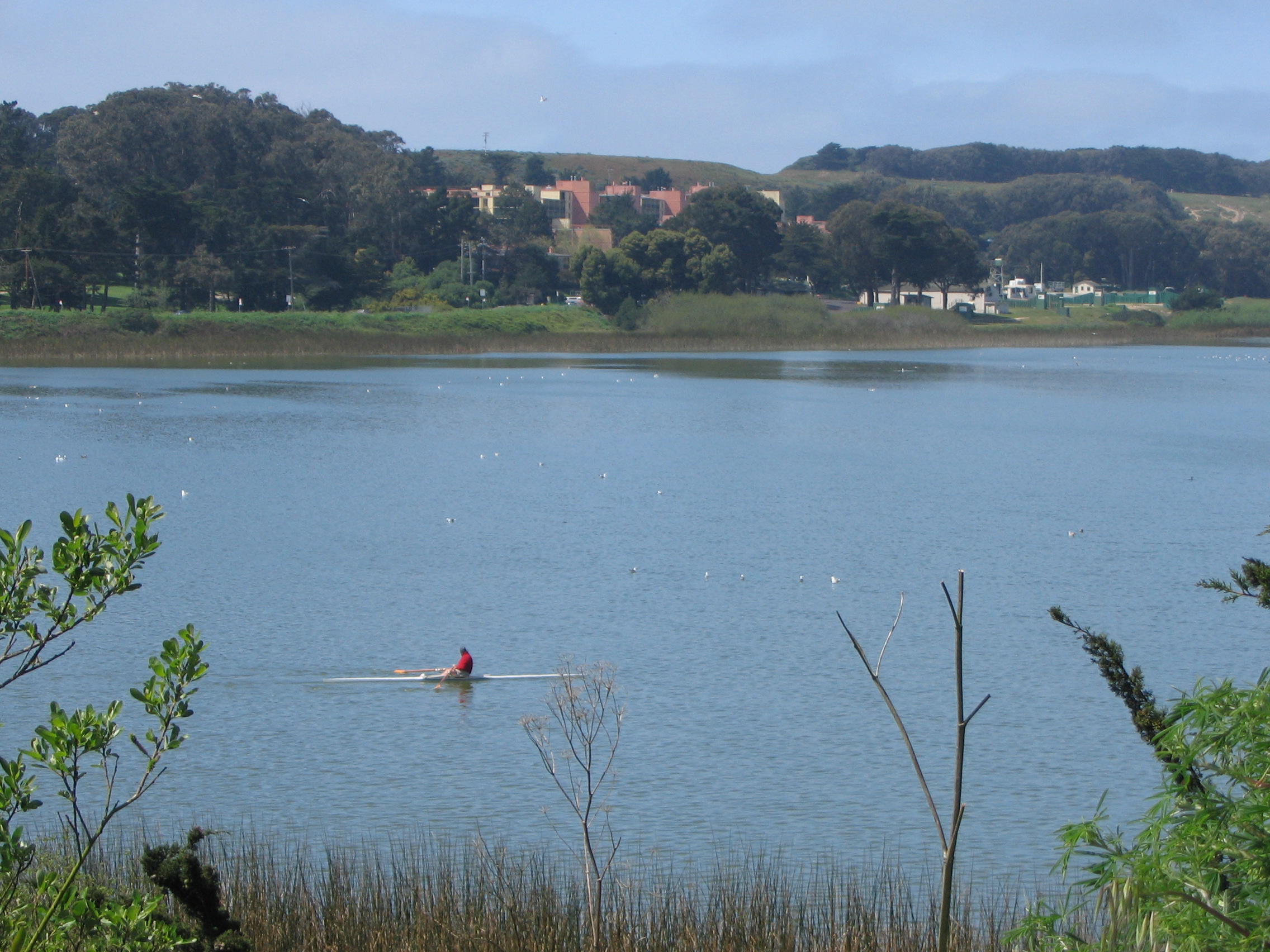 Westlake at SFSU