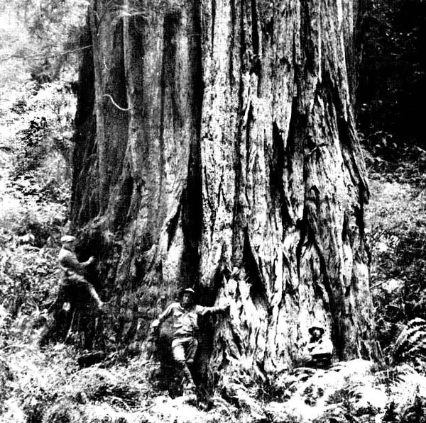 Frederick Russell Burnham bought a 5,000-acre cattle ranch, La Cuesta, at Three Rivers, California, near the entrance to Sequoia Park.