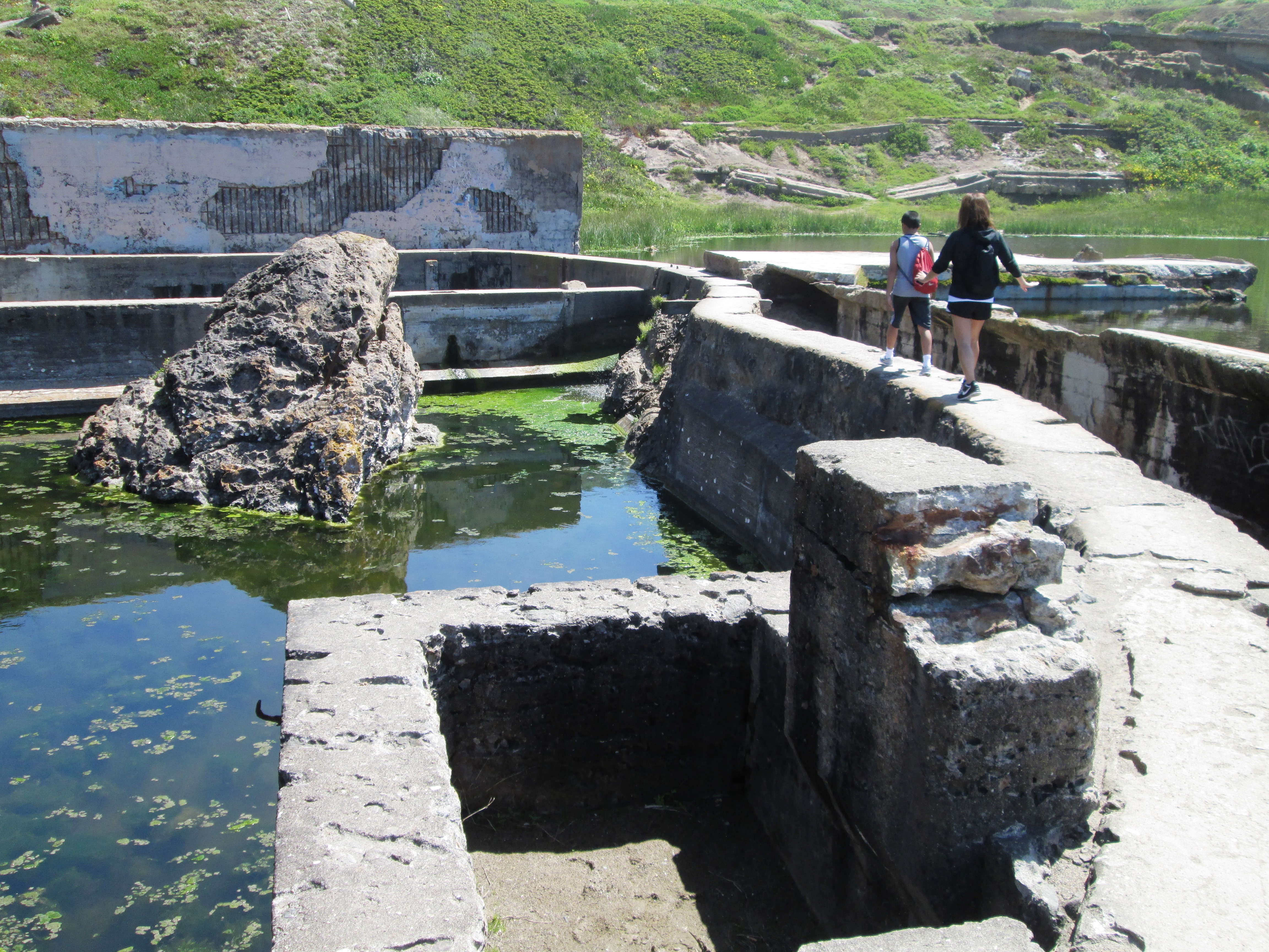 The Sutro Baths was a large, privately owned public saltwater swimming pool complex in the Lands End area of the Outer Richmond District in western San Francisco, California. Built in 1896, it was located near the Cliff House, Seal Rocks, and Sutro Heights Park. The facility burned down in June 1966 and is now in ruins. The site is within the Golden Gate National Recreation Area and the Sutro Historic District.