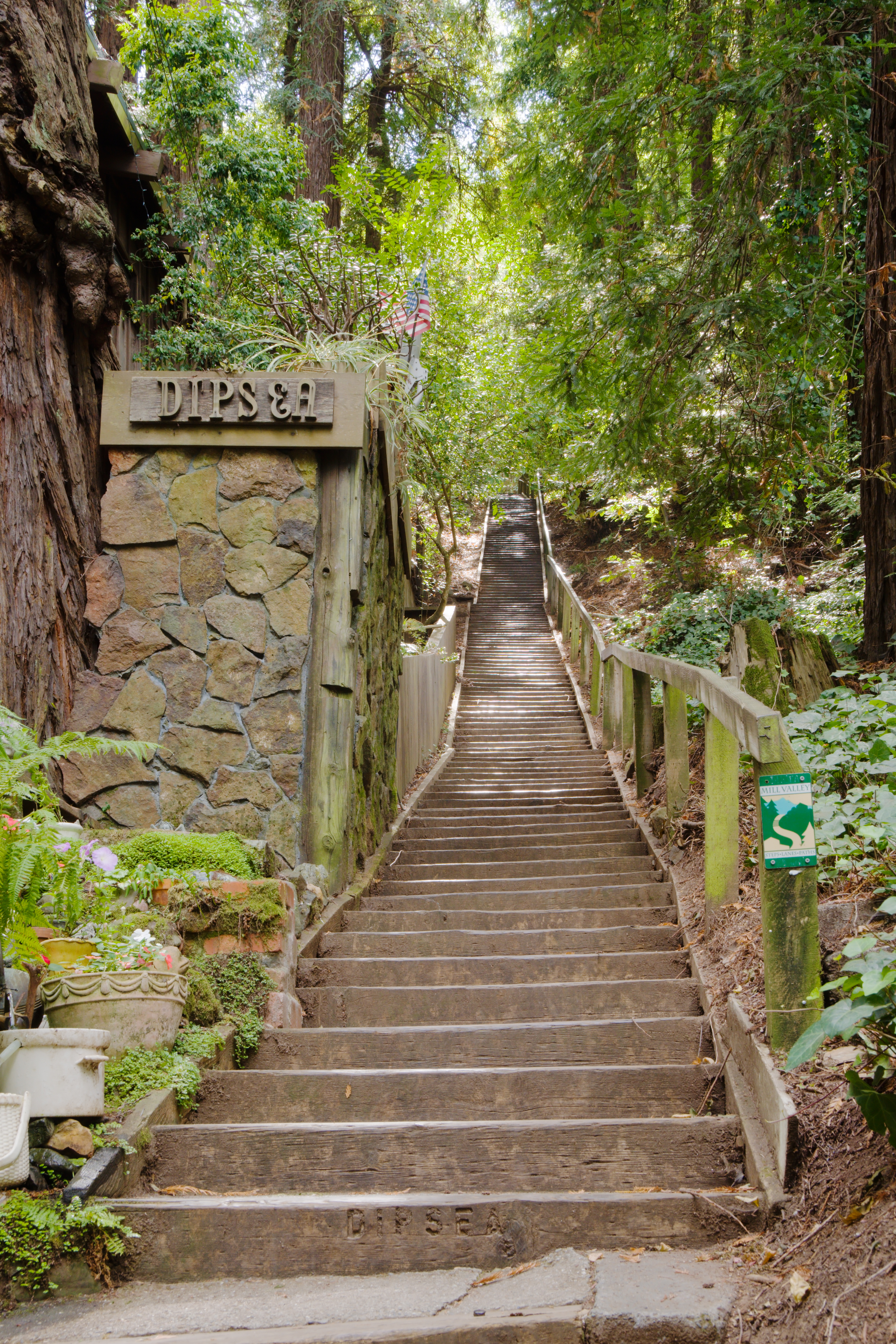 The Dipsea Trail stairs, Mill Valley, California.