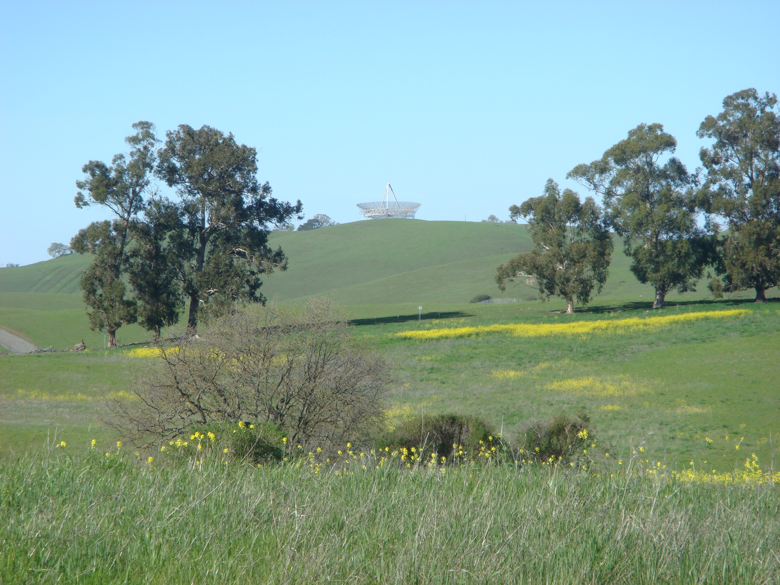 View from Arastradero Preserve in Palo Alto, California, USA. You can see the satellite dish that belongs to Stanford University (but is not part of the preserve itself)