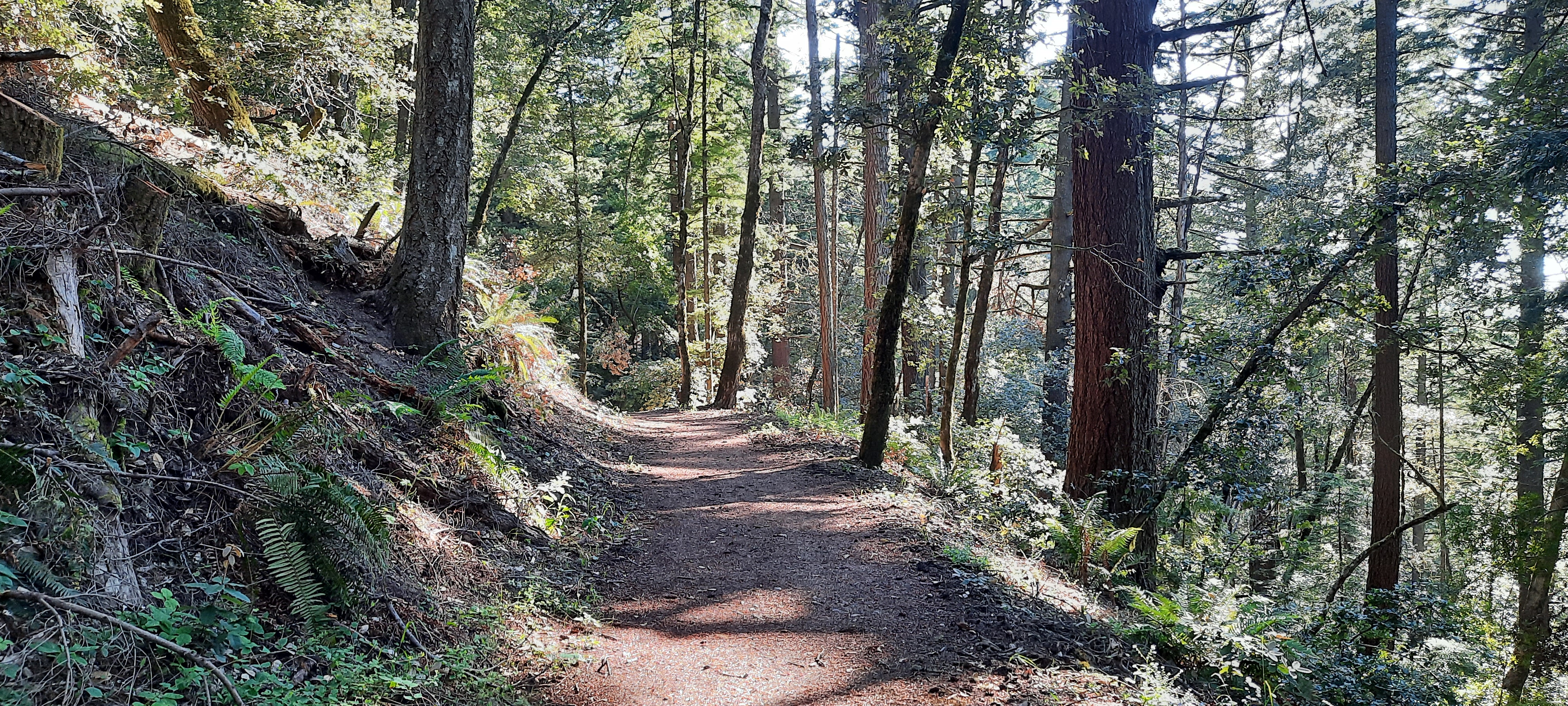 A view of the Tafoni Trail in El Corte De Madera Open Space Preserve