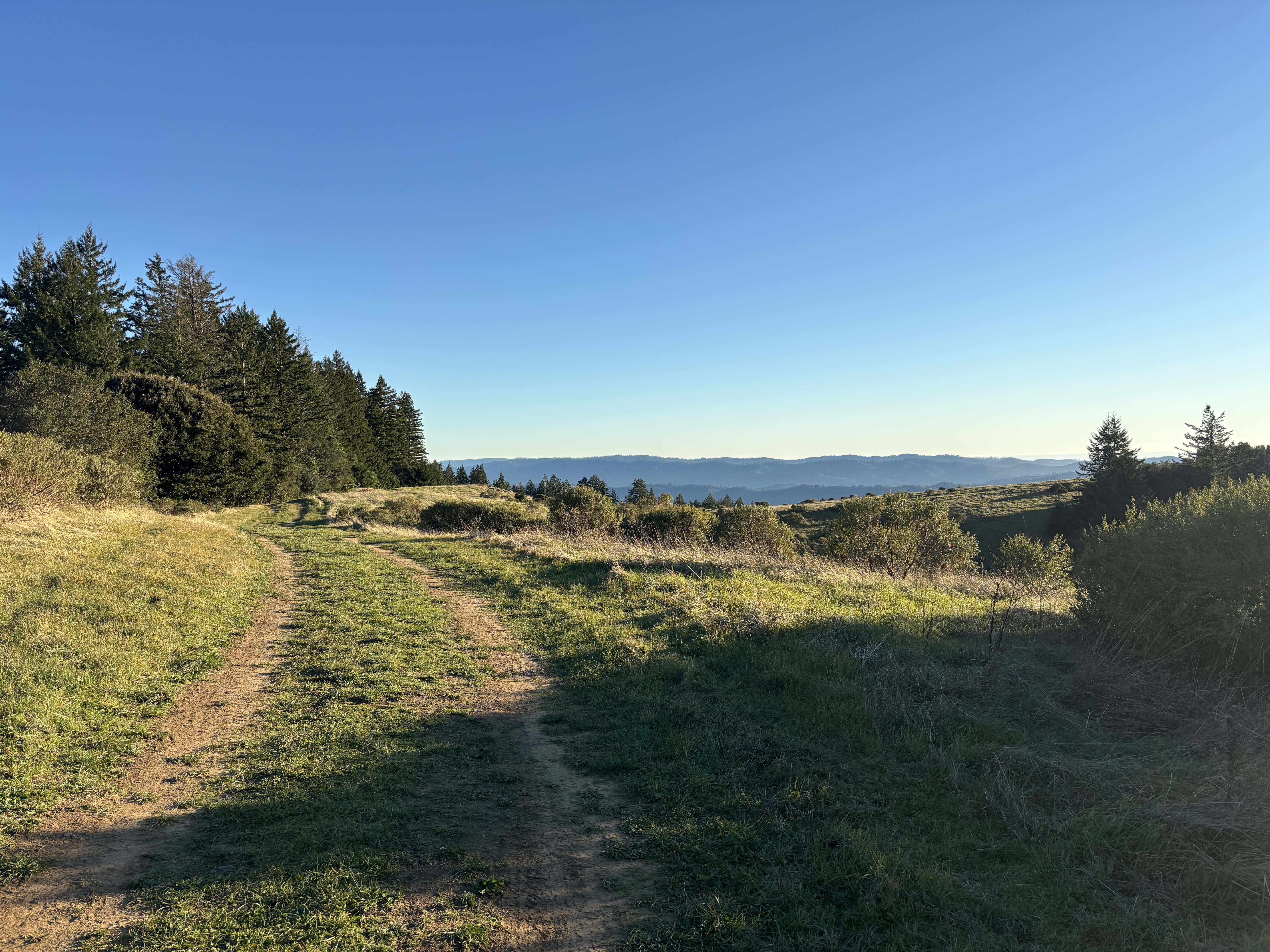 A view looking towards Butano Ridge from Upper La Honda Creek open space