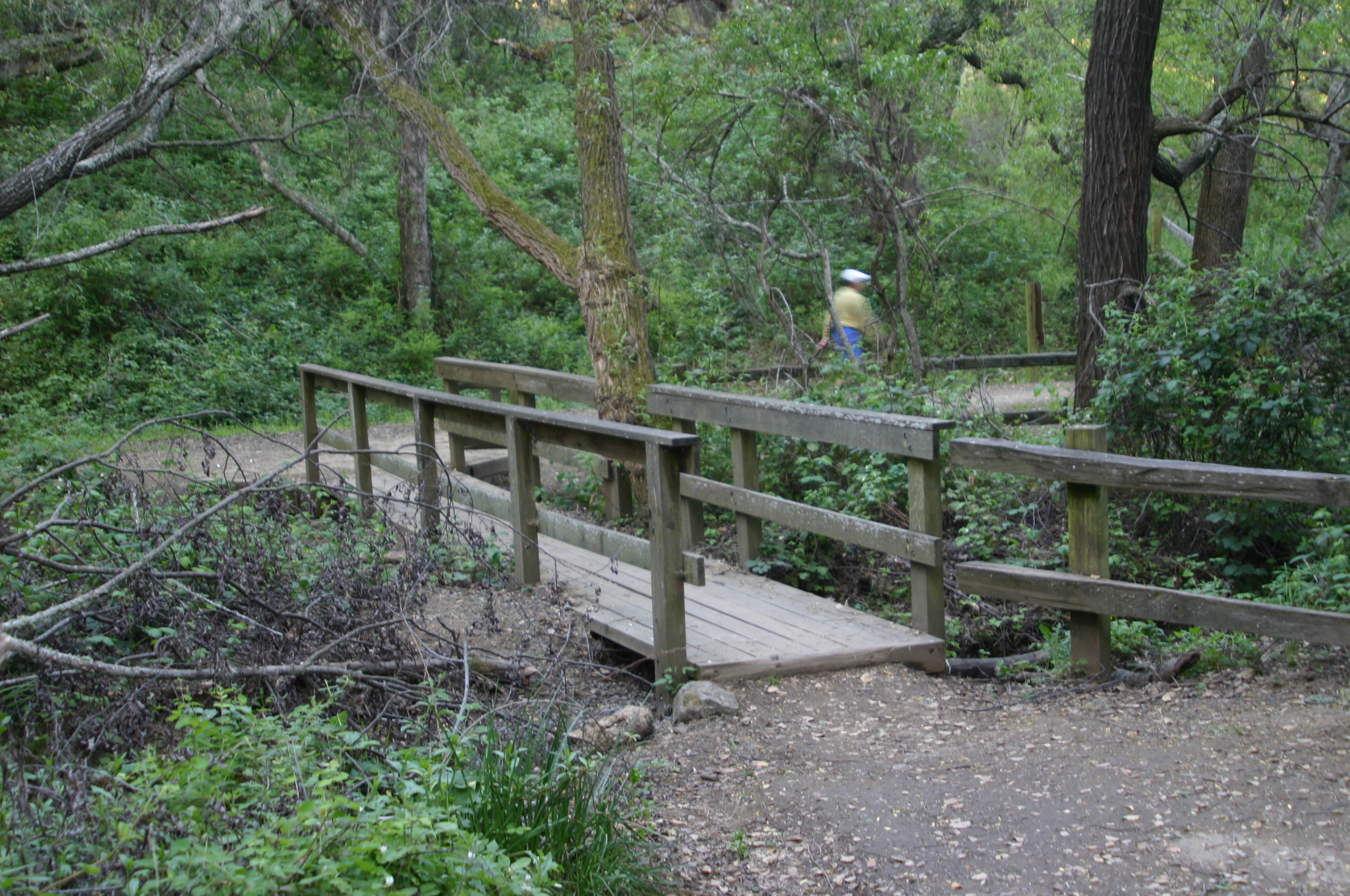 Footbridge on trail, in Pulgas Ridge Open Space Preserve — San Mateo County, San Francisco Bay Area, California.

Part of the Midpeninsula Regional Open Space District system.
